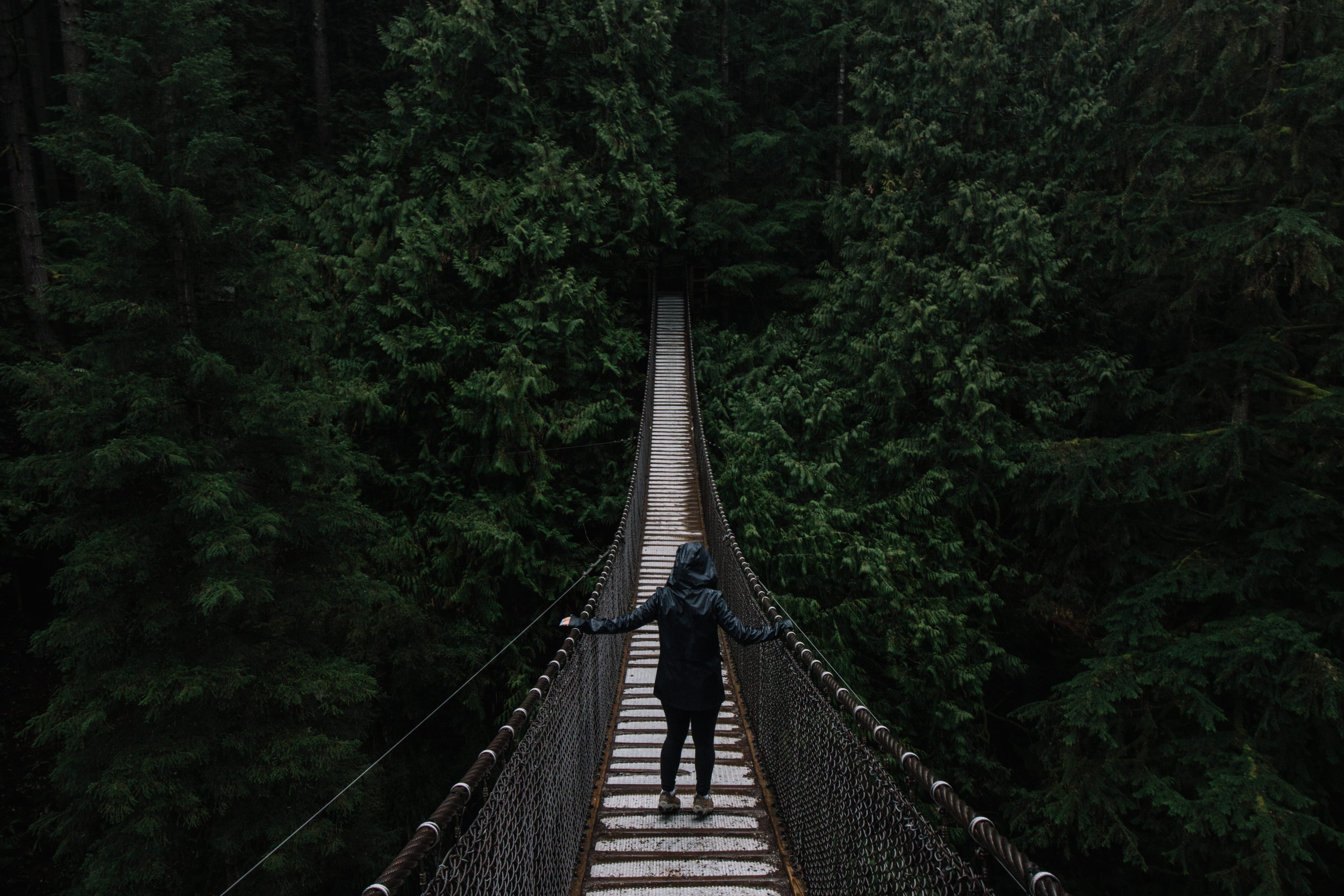 outdoors, 5K, bridge - Man Made Structure, hanging, bridge, real people, behind, connection, hoodie, direction, nature, leisure activity, hanging bridge, HD Wallpaper