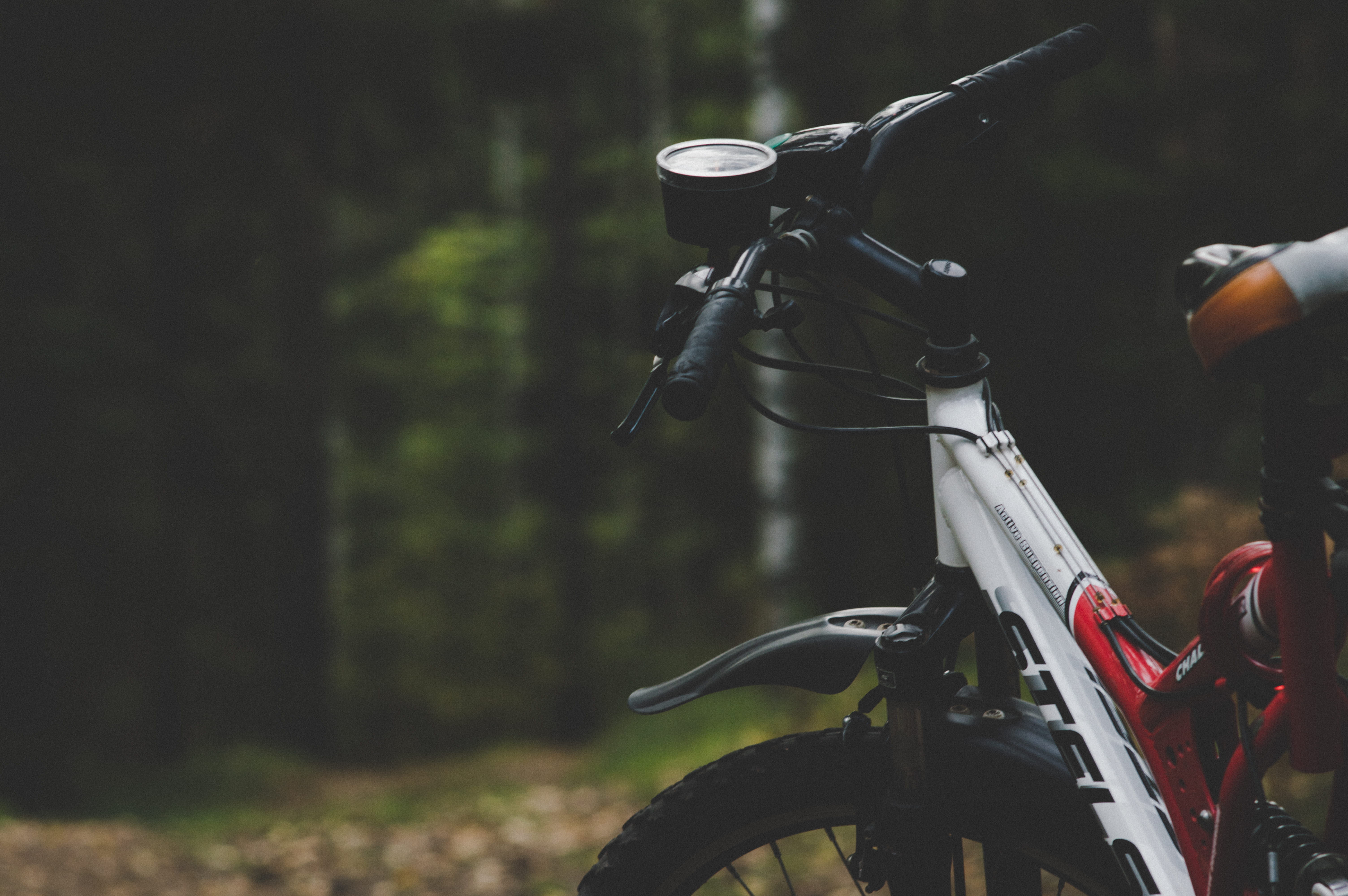 nature, motorcycle, travel, ride, wheel, outdoor, outdoors, cycling, hand, adventure, forest, handlebar, full, stationary, transportation, land, white, HD Wallpaper