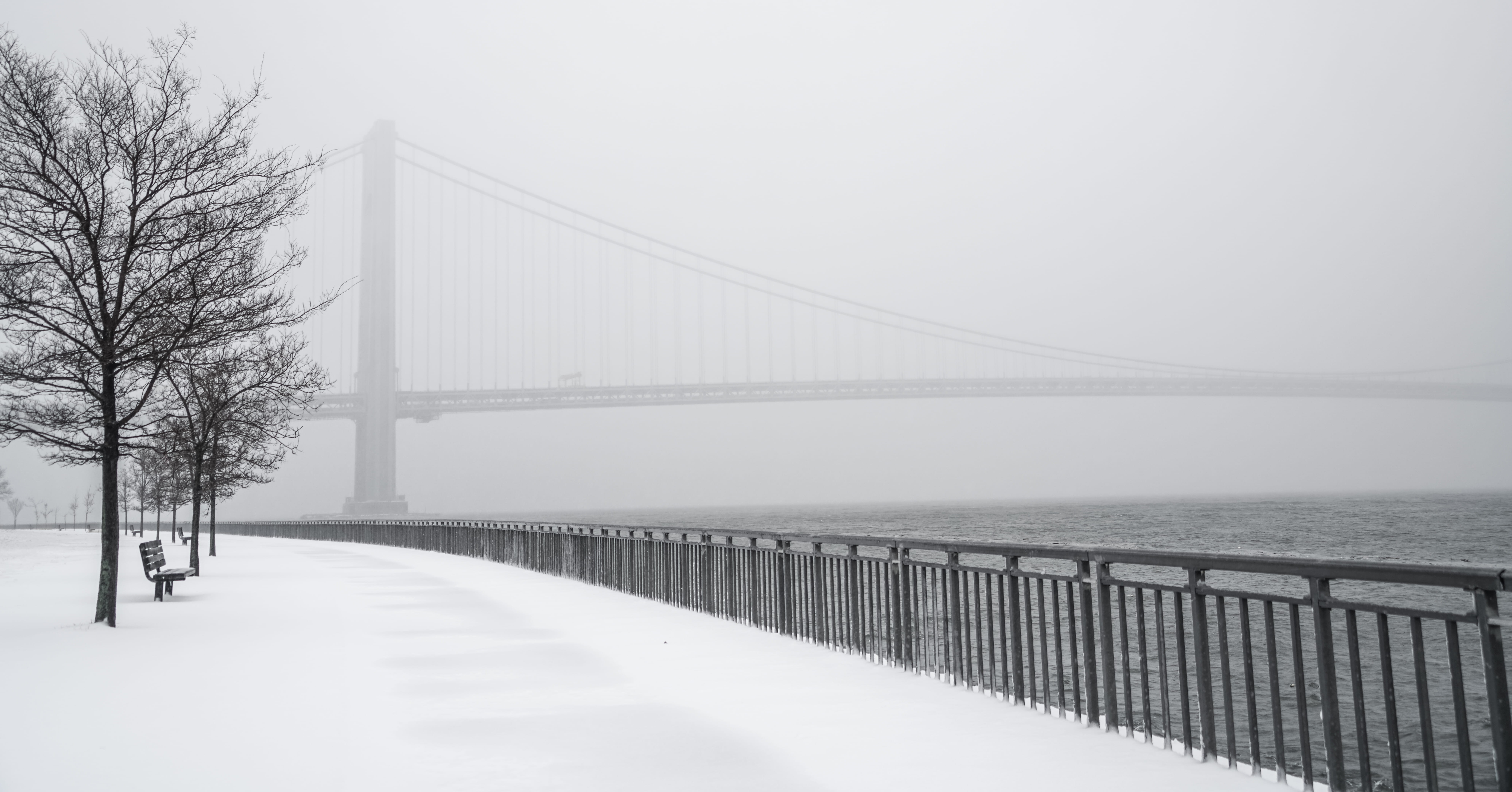 tree, fog, outdoors, transportation, bridge - man made structure, nyc, no people, day, snowing, sky, railing, 8K, park, beauty in nature, brooklyn, snow, HD Wallpaper