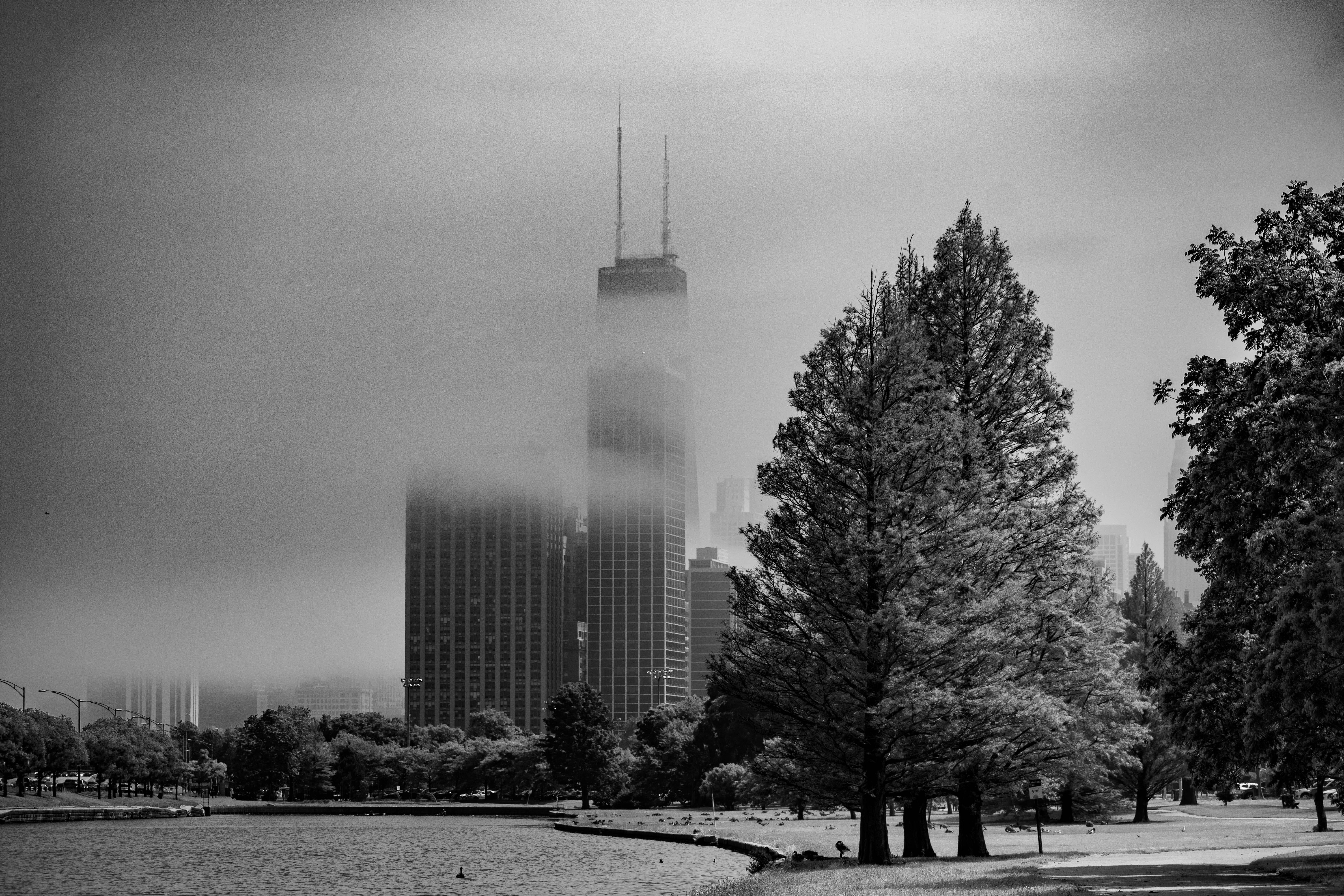 fog, plant, outdoors, day, 5K, high rise, nature, chicago, tree, sky, building, built structure, winter, architecture, growth, park, steeple, grass, building exterior, HD Wallpaper