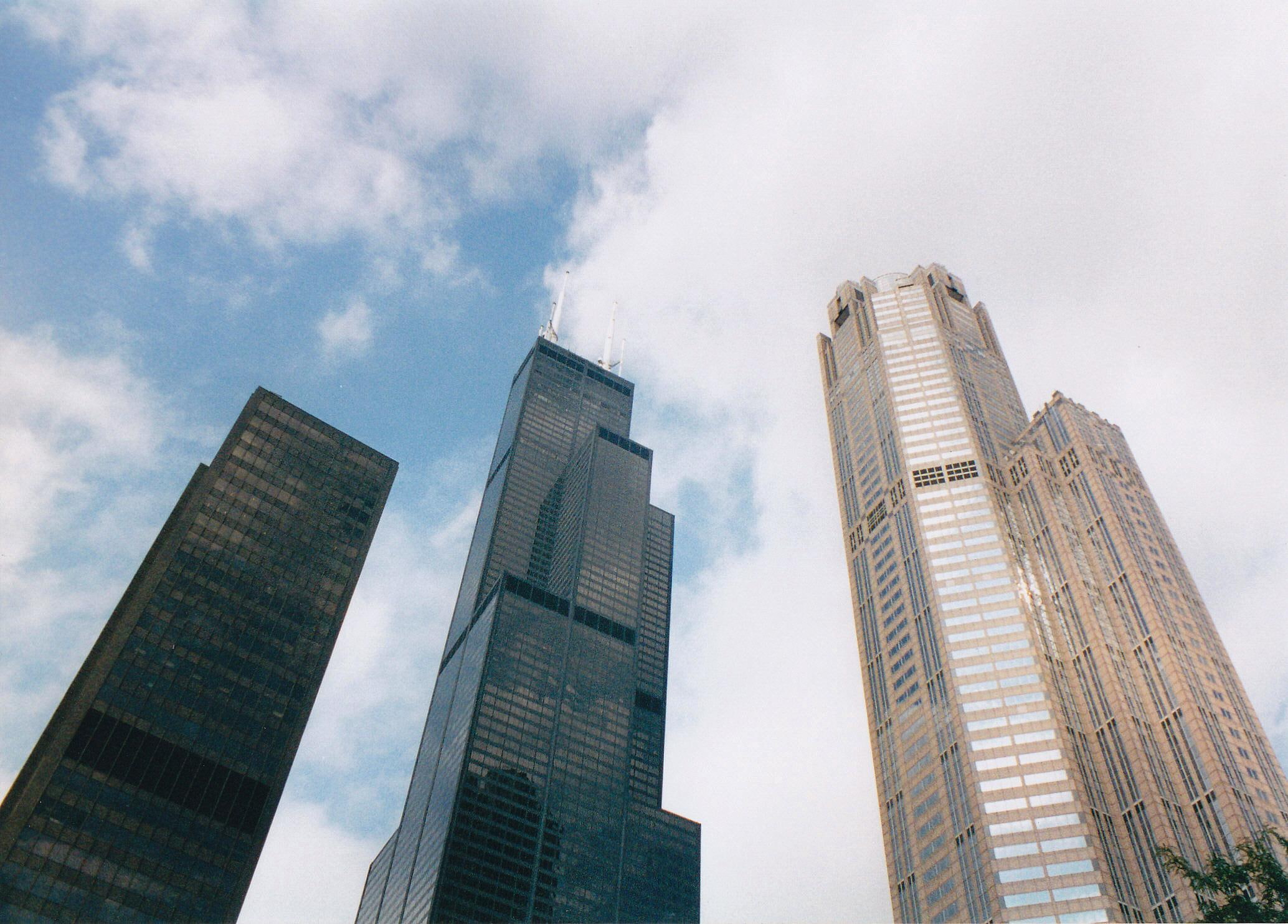 three, sears tower, skyscrapers, towers, animals, chicago, 1080P, HD Wallpaper