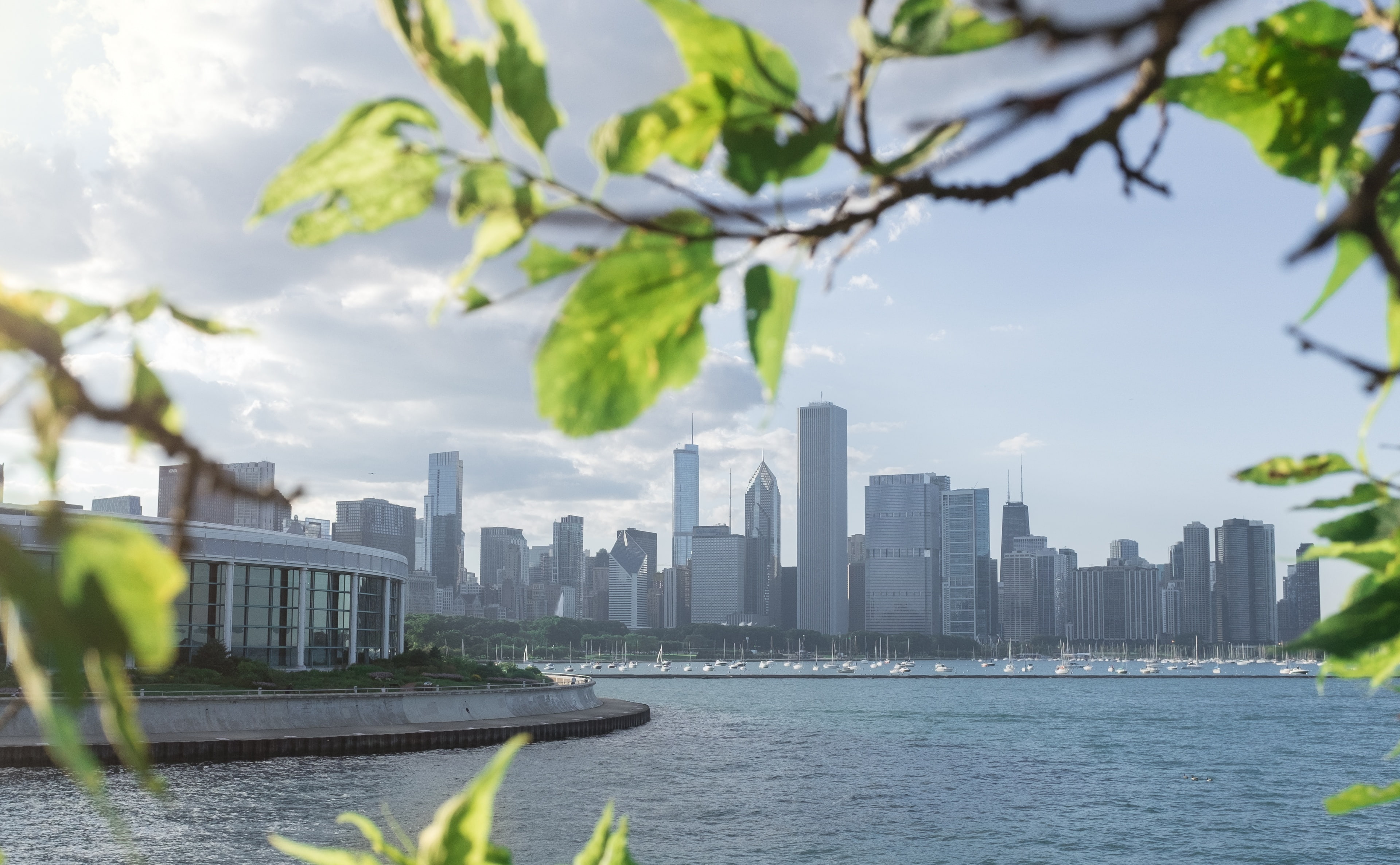 building exterior, Chicago, travel destinations, Urban, day, cityscape, financial district, Fuji, skyline, Walk, Artistic, nature, architecture, no people, HD Wallpaper