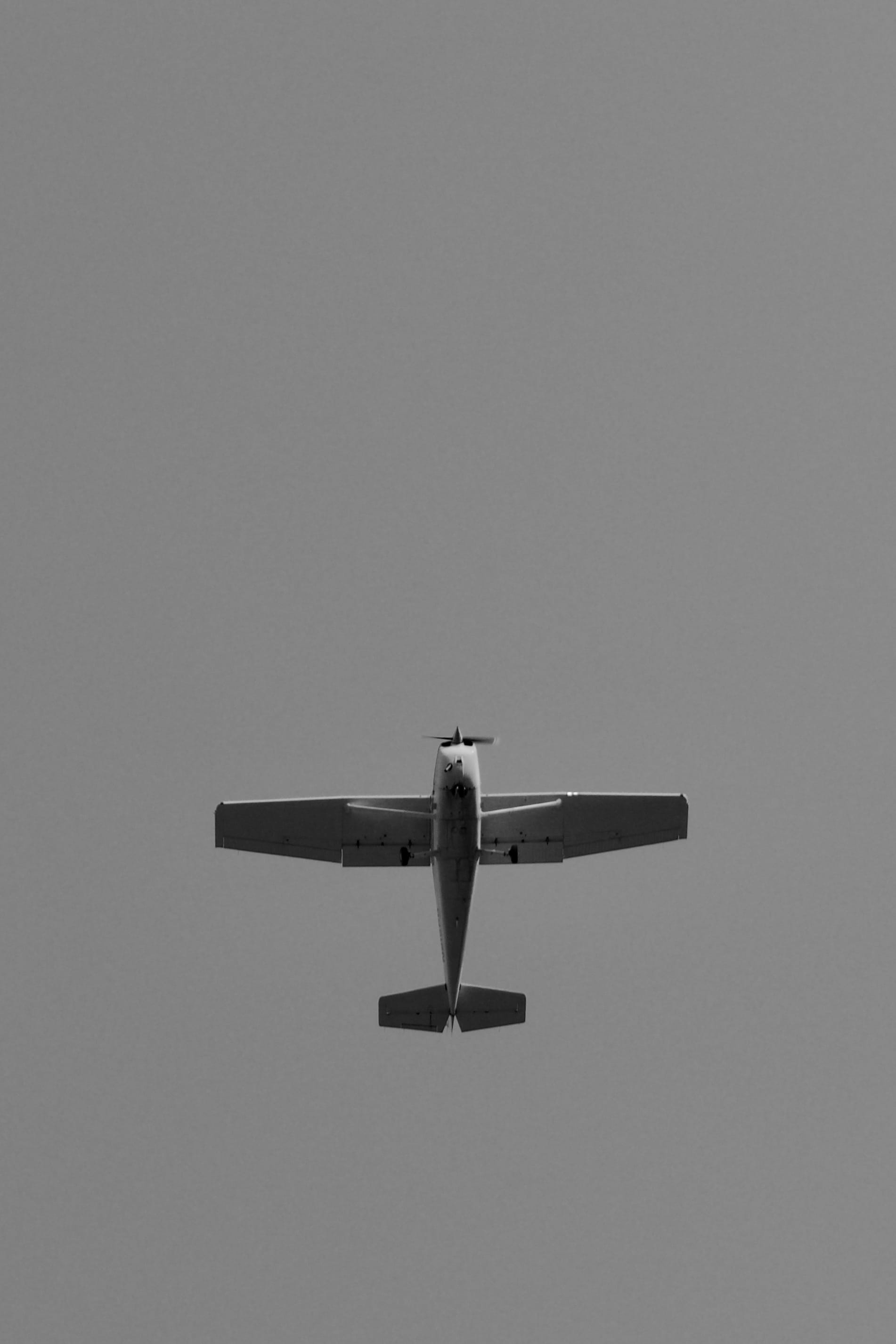 air vehicle, mid-air, magpie, copy space, cessna, anhinga, journey, mode of transportation, beak, day, low angle view, sky, motion, cessna 182, pilot, silhouette, Phone HD Wallpaper