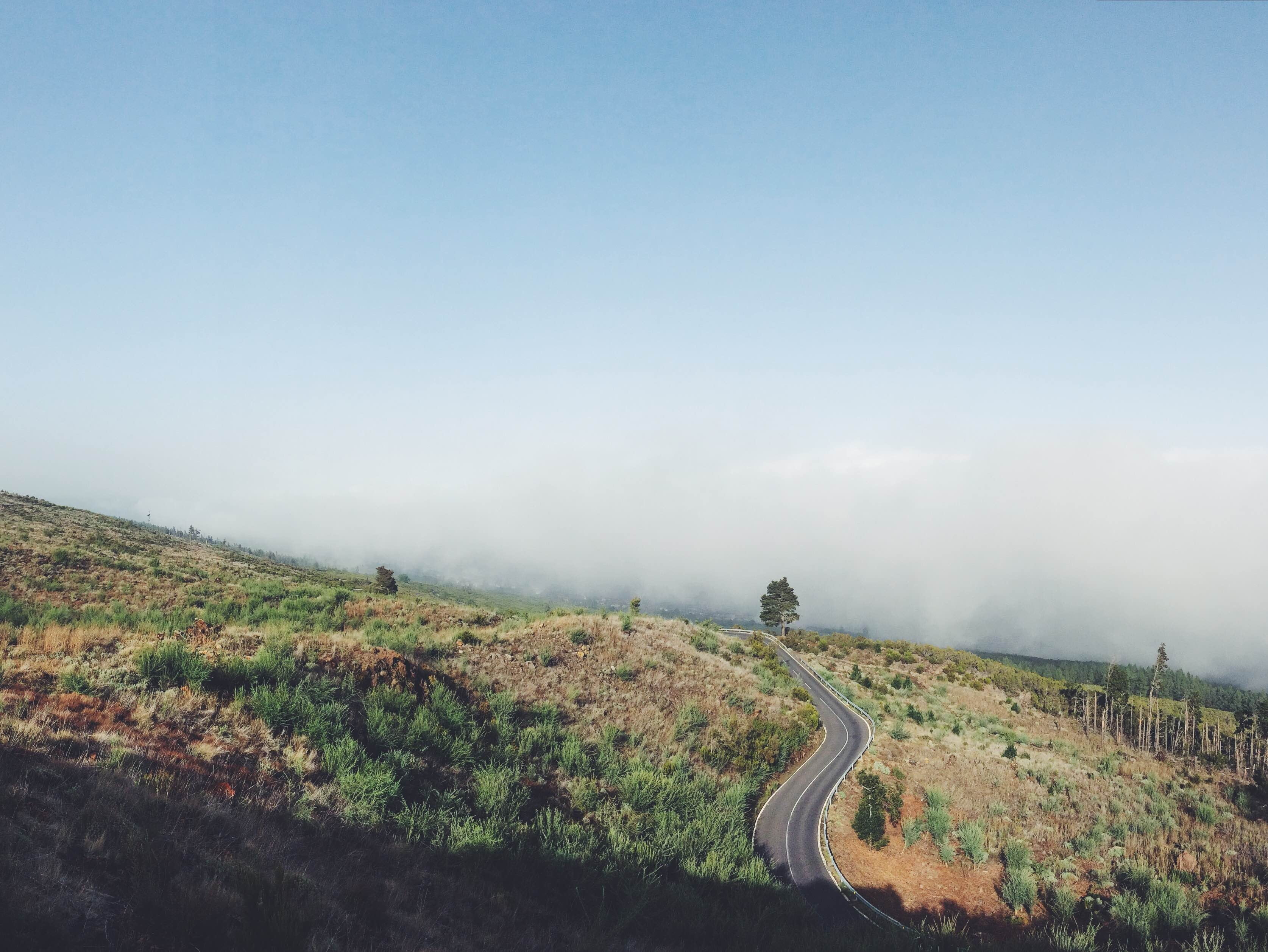 scenics - nature, non-urban scene, tranquil scene, direction, plant, sky, vehicle, fog, copy space, journey, landscape, green, traffic, day, drive, idyllic, HD Wallpaper
