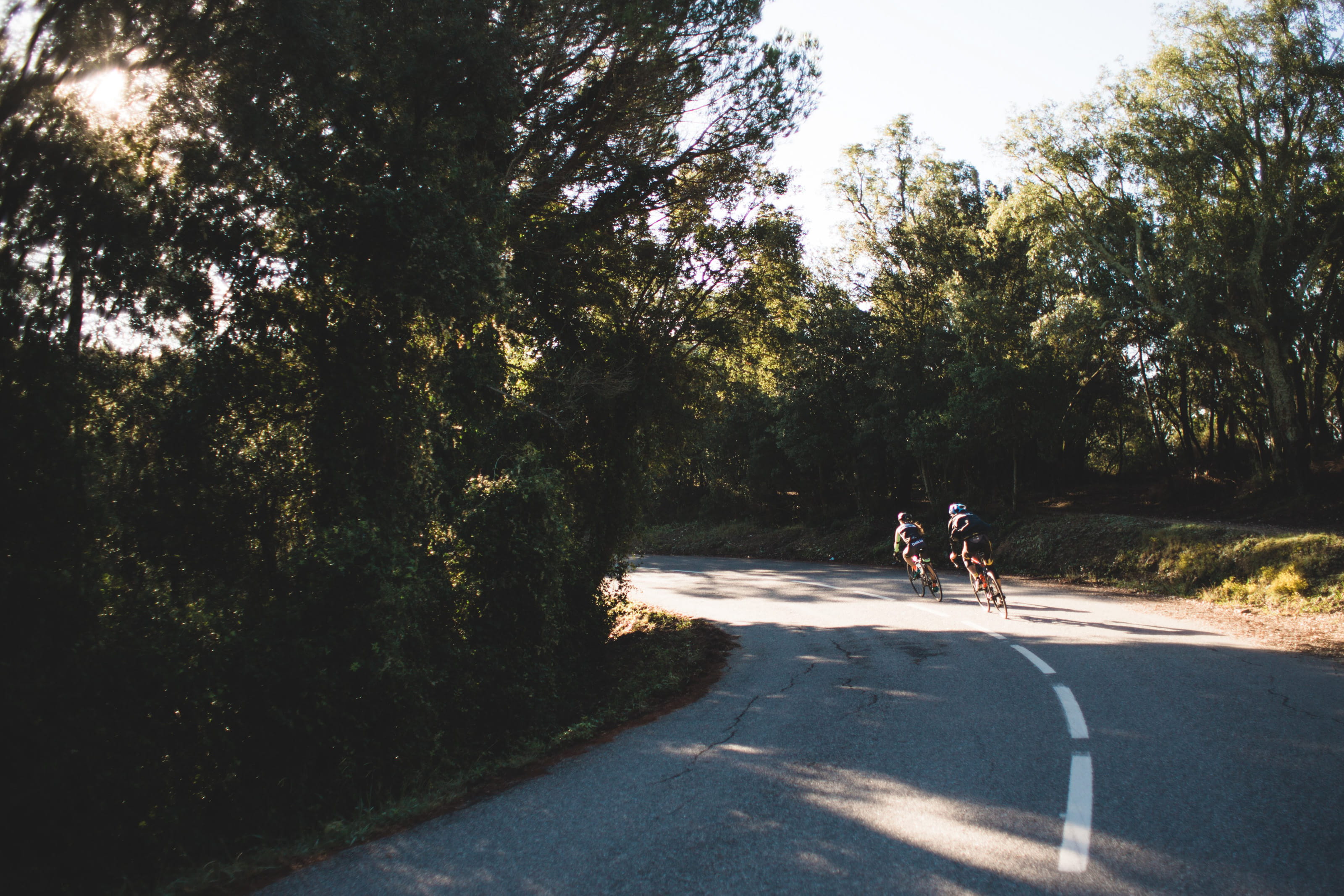 road, Highway, shadow, domestic, cyclist, rural, curve, forest, transportation, bend, View, Landscape, travel, riding, mode of transportation, real people, HD Wallpaper