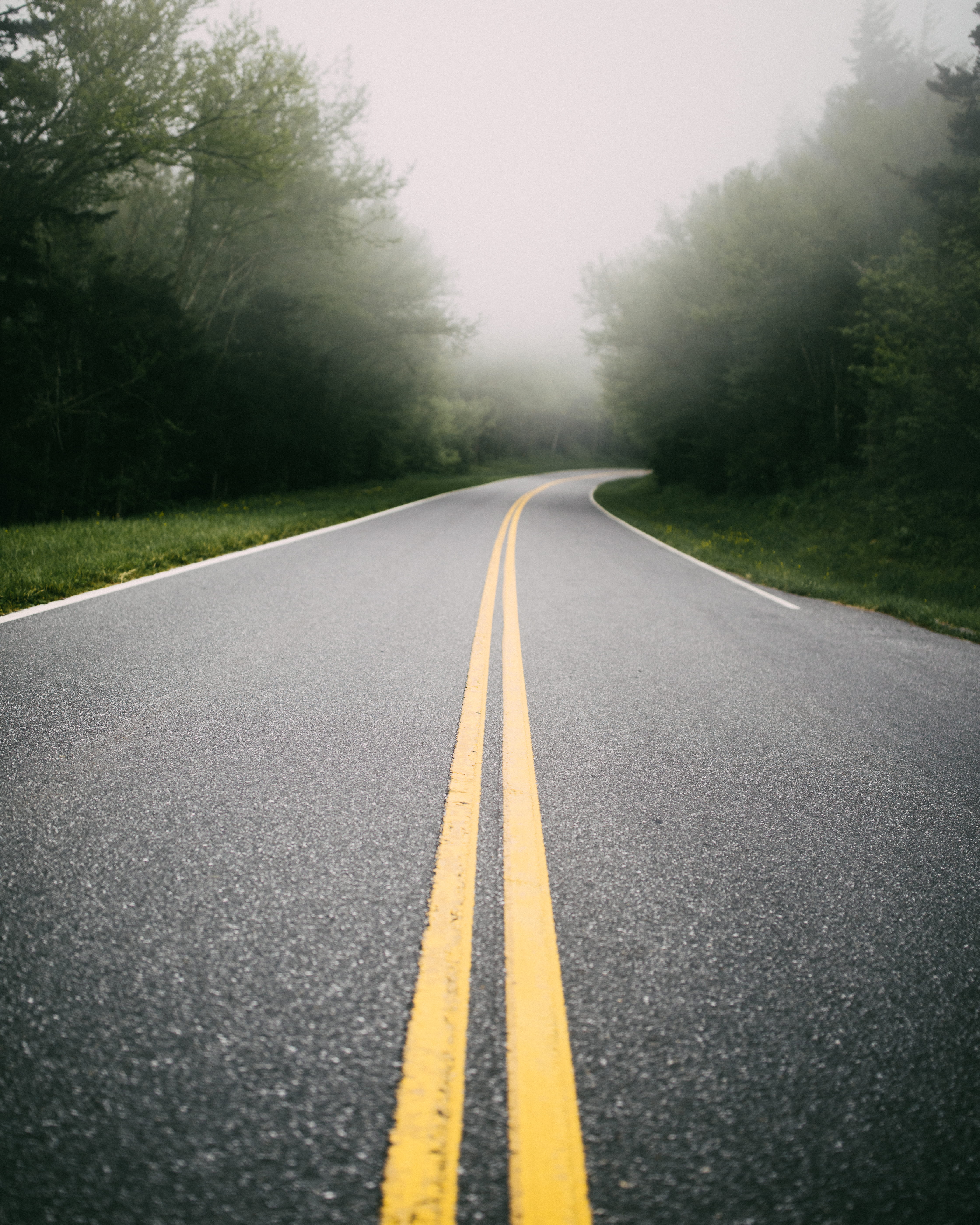 sign, marking, long, fall, empty road, the way forward, summer, day, dividing line, green, nature, symbol, line, street, asphalt, foggy road, plant, road marking, Phone HD Wallpaper