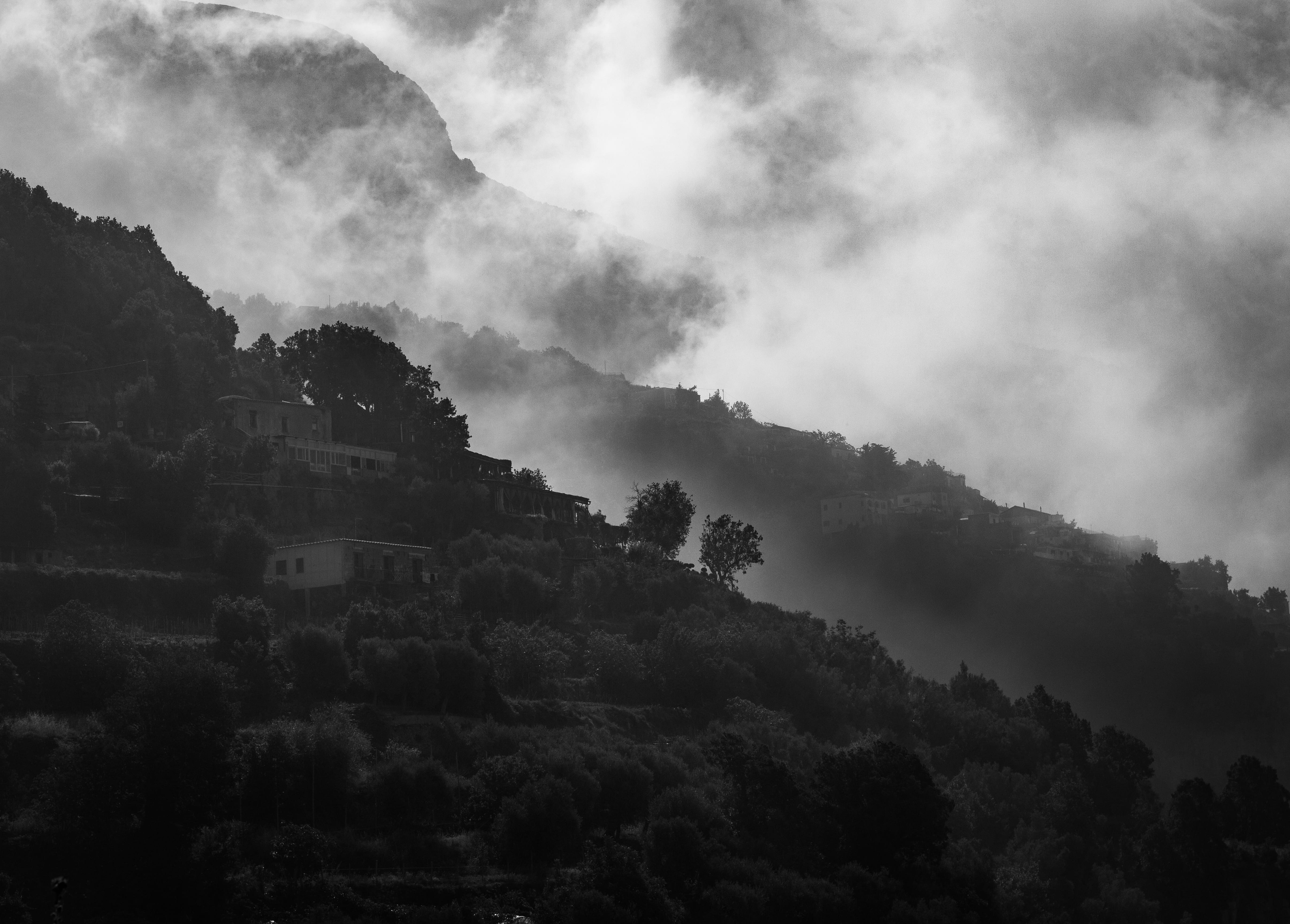 scenics - nature, black and white, trees, no people, surrounded, light, day, tranquility, sunset, weather, fog, hills, dawn, evening, forest, early morning, HD Wallpaper