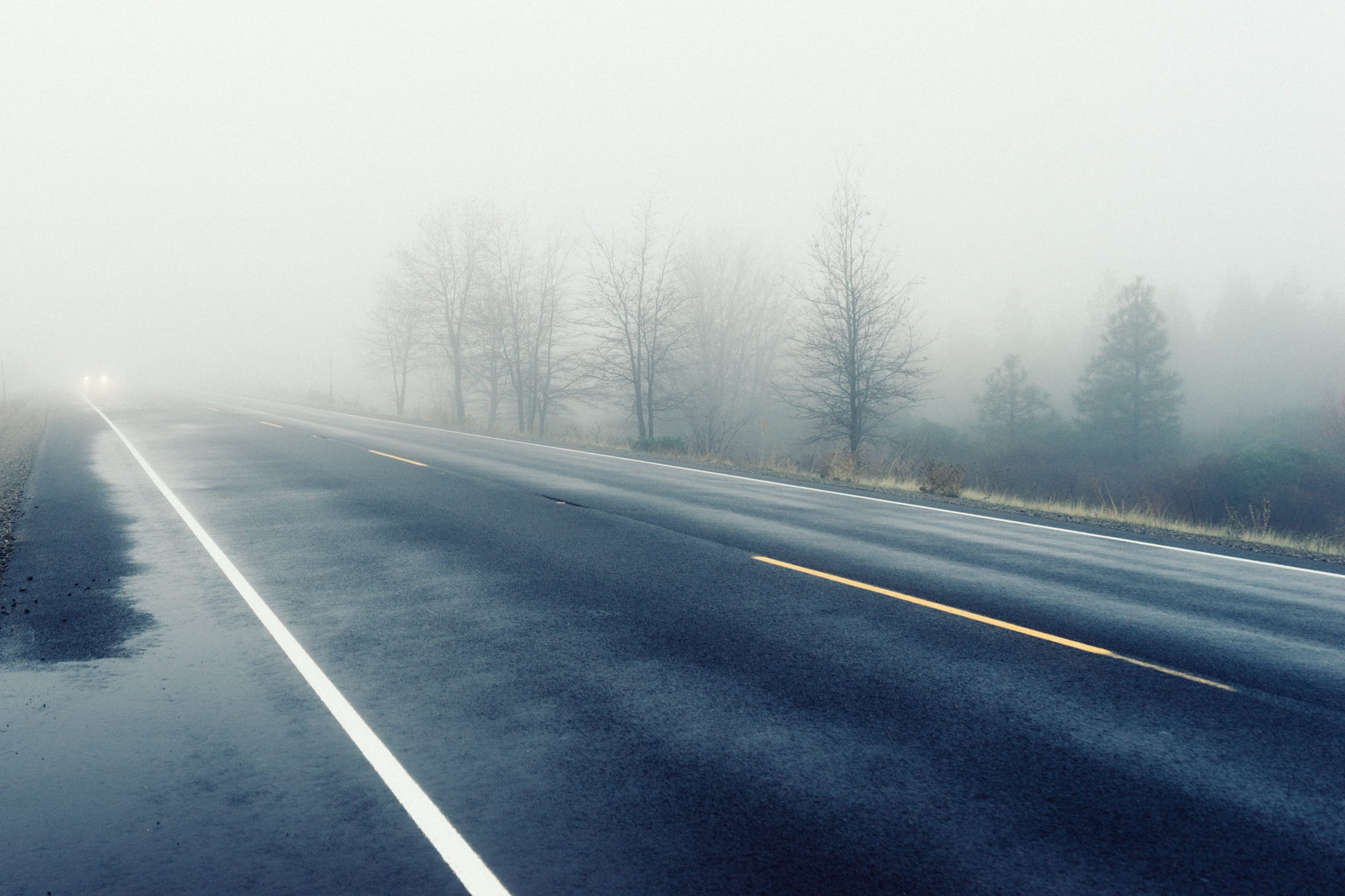 road marking, landscape, no people, fog, haze, tree, winter, asphalt, transportation, journey, traffic, symbol, beauty in nature, wet, car, the way forward, HD Wallpaper