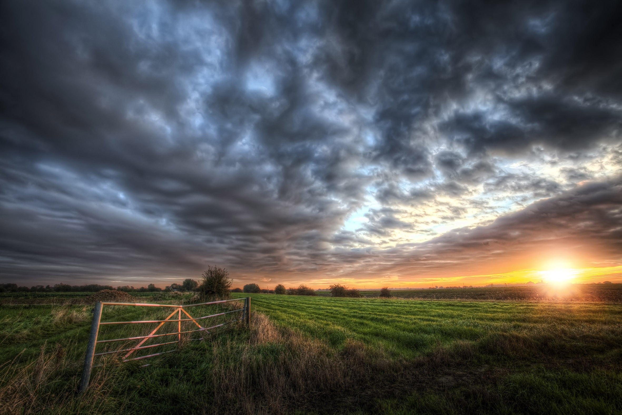 scenics - nature, field, green, environment, clouds, sunset, cloud - sky, boundary, blue, dark, sky, land, farm, plant, agriculture, nature, brown, no people, HD Wallpaper
