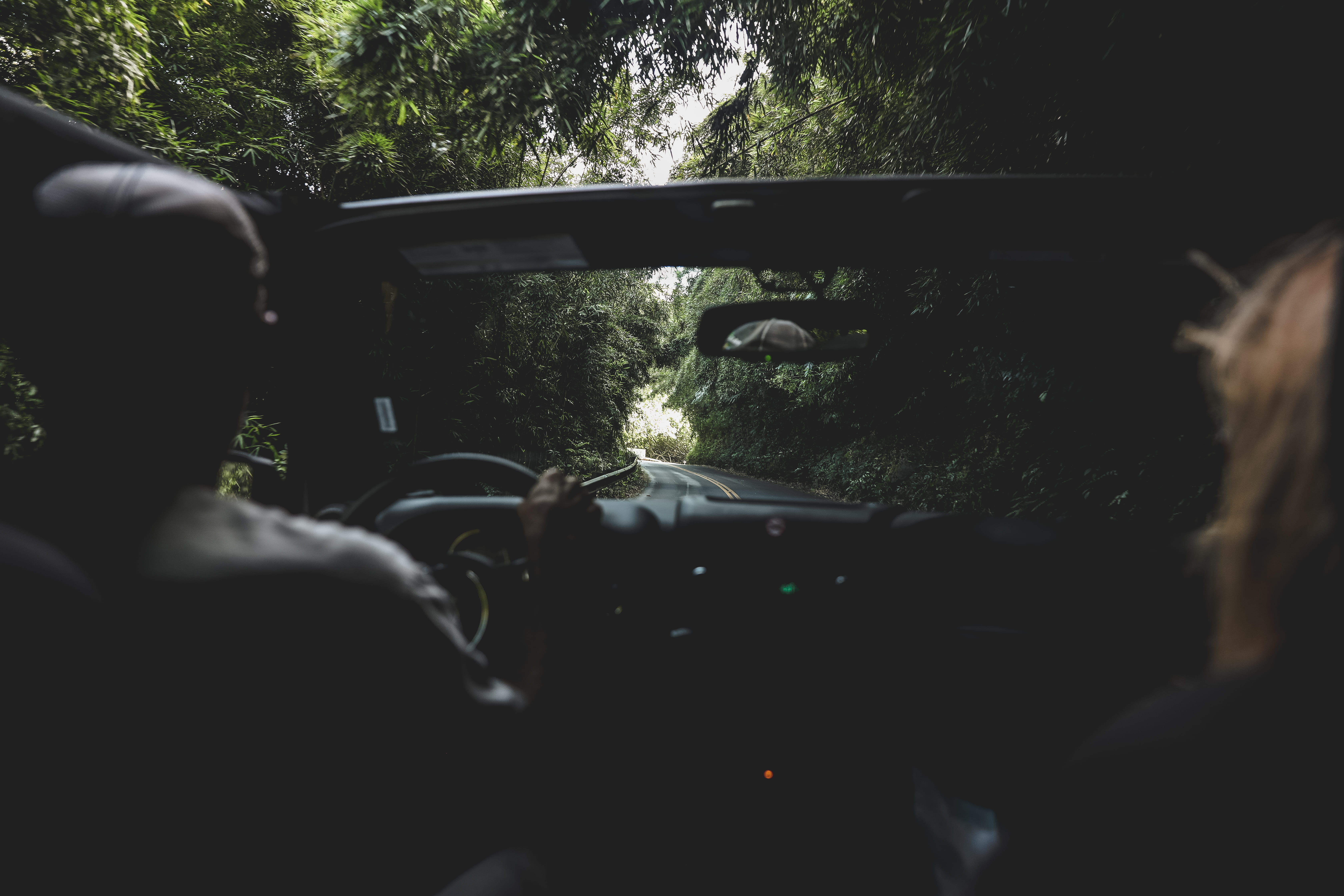 persons, convertible, journey, car interior, adult, road trip, rear view, windshield, riding, car point of view, day, headshot, transportation, 5K, woman, HD Wallpaper