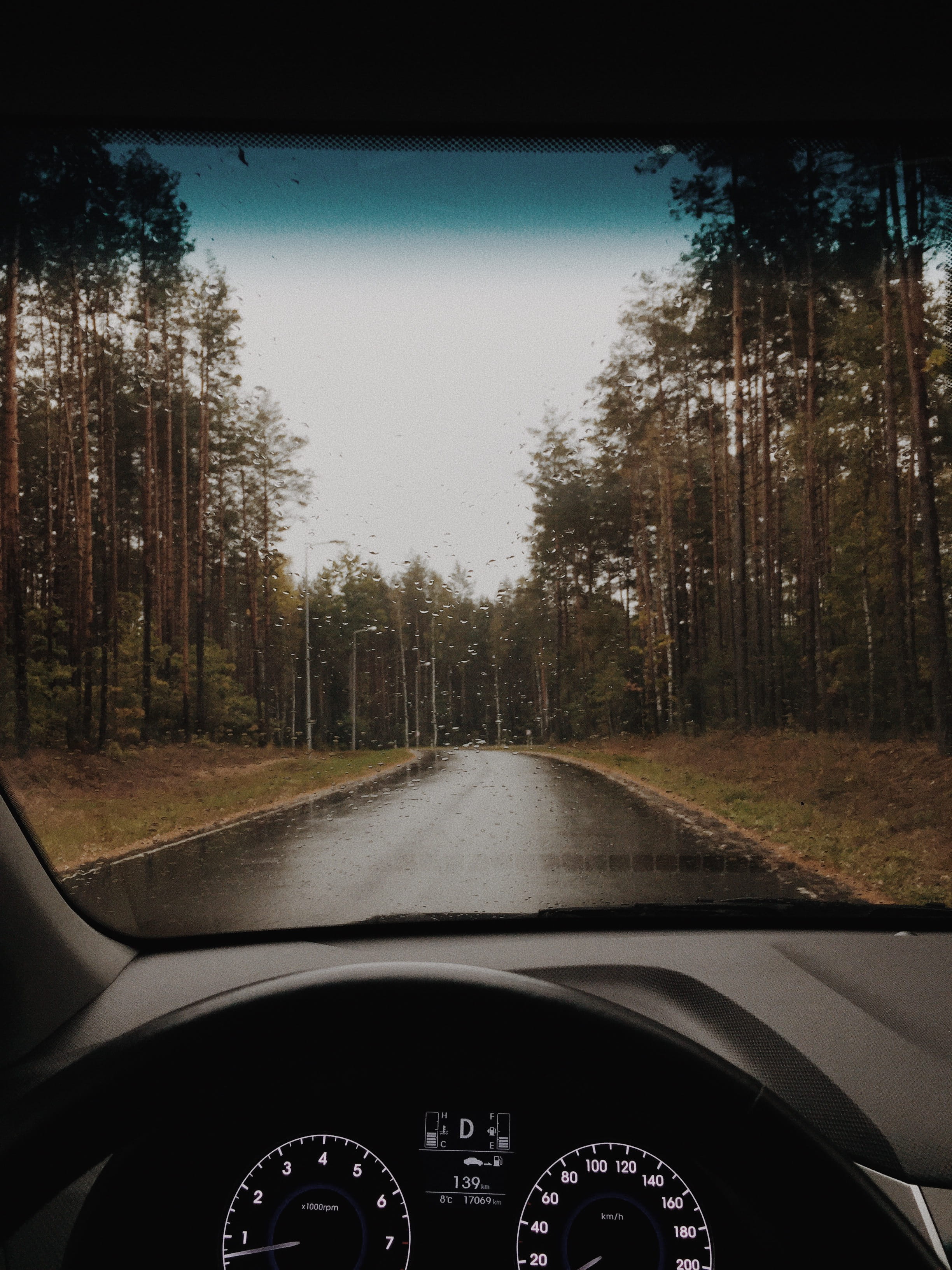 windshield, plant, wet, drive, car interior, mode of transportation, speedometer, car point of view, automotive, roadway, land vehicle, long, transportation, Phone HD Wallpaper