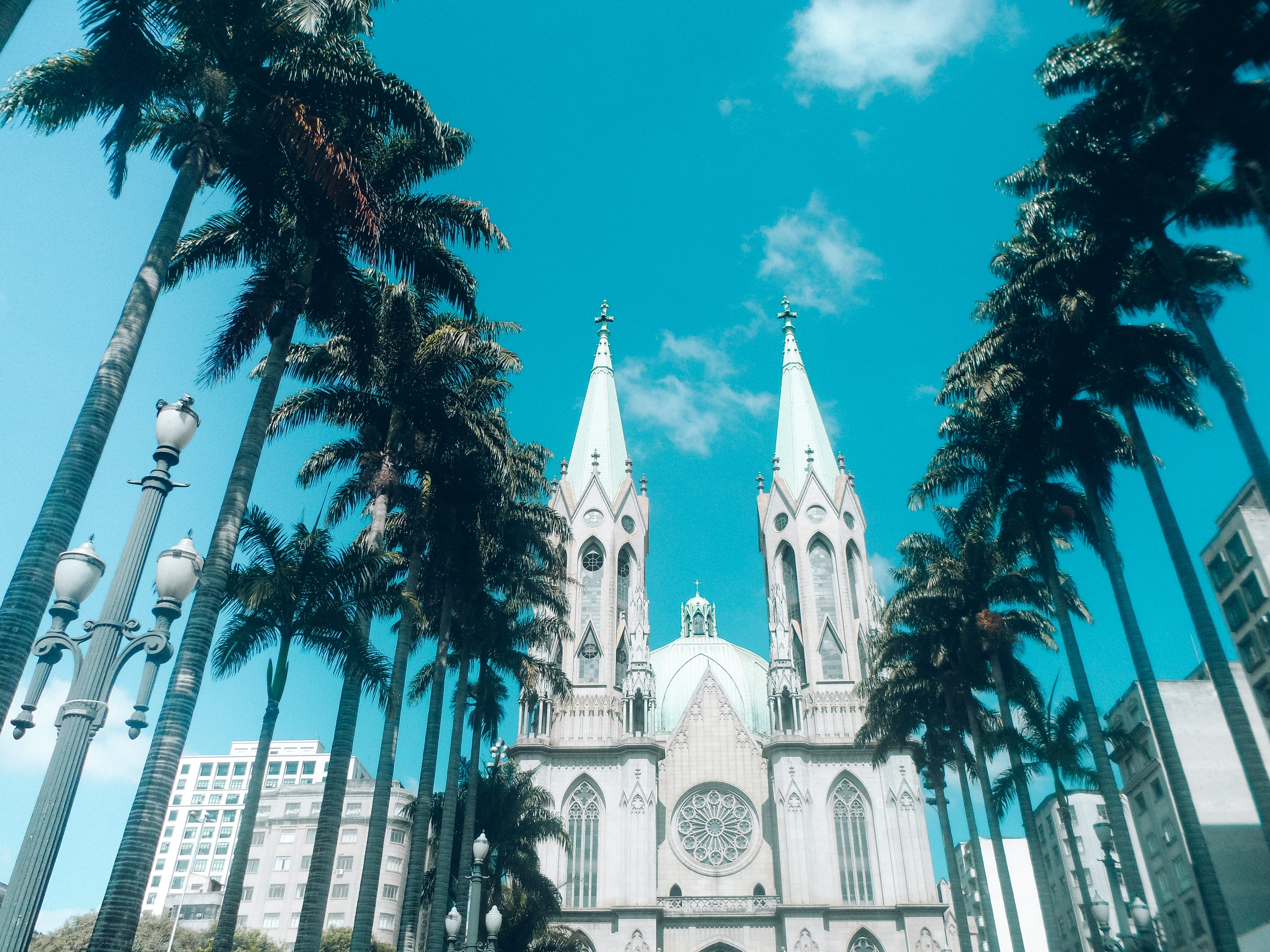 old, building exterior, travel destinations, church, catedral, building, sp, spirituality, centro, se, são paulo, palm tree, igreja, praca, built structure, HD Wallpaper