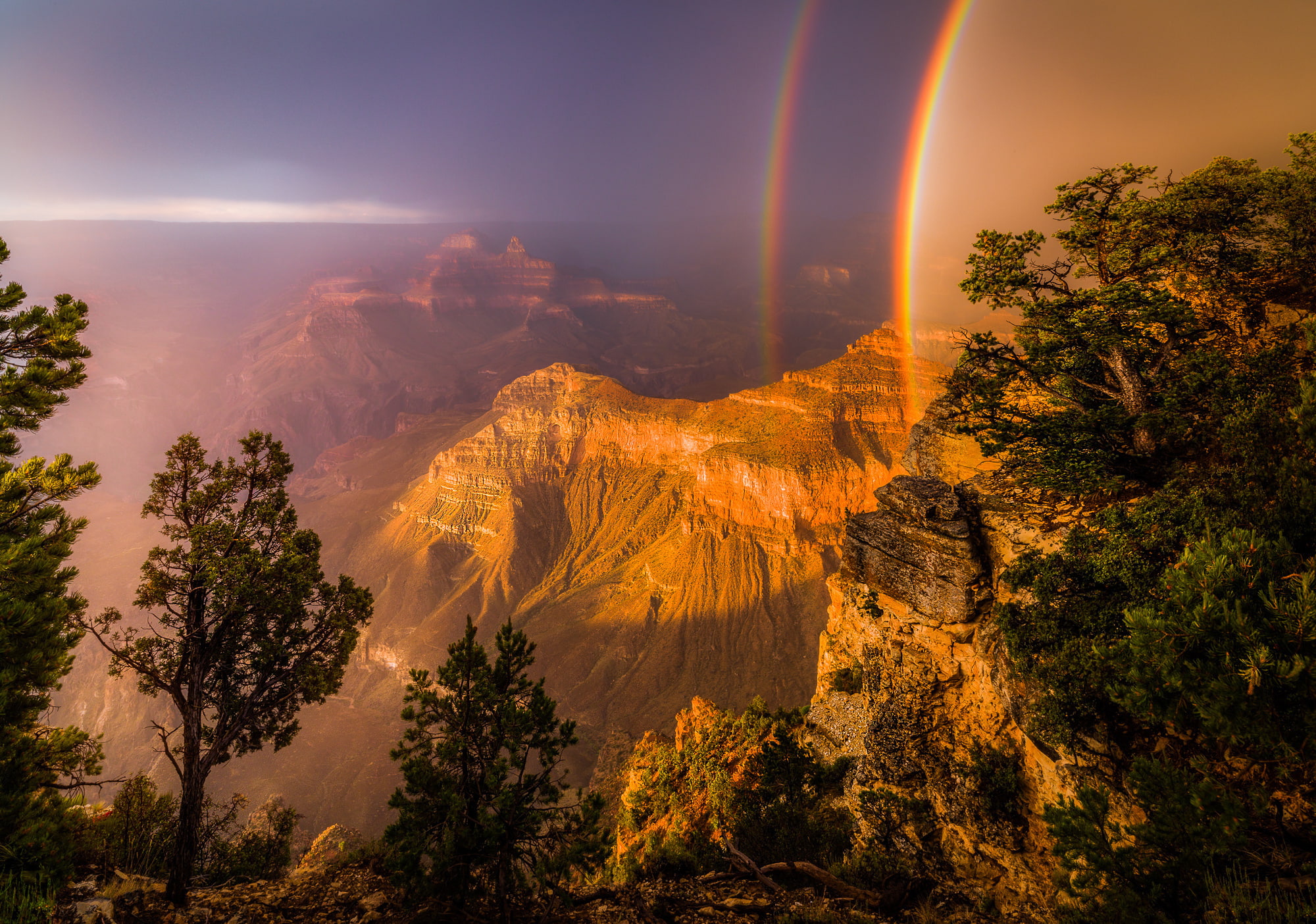 trees, rock, 1080P, landscape, Grand Canyon, nature, HD Wallpaper