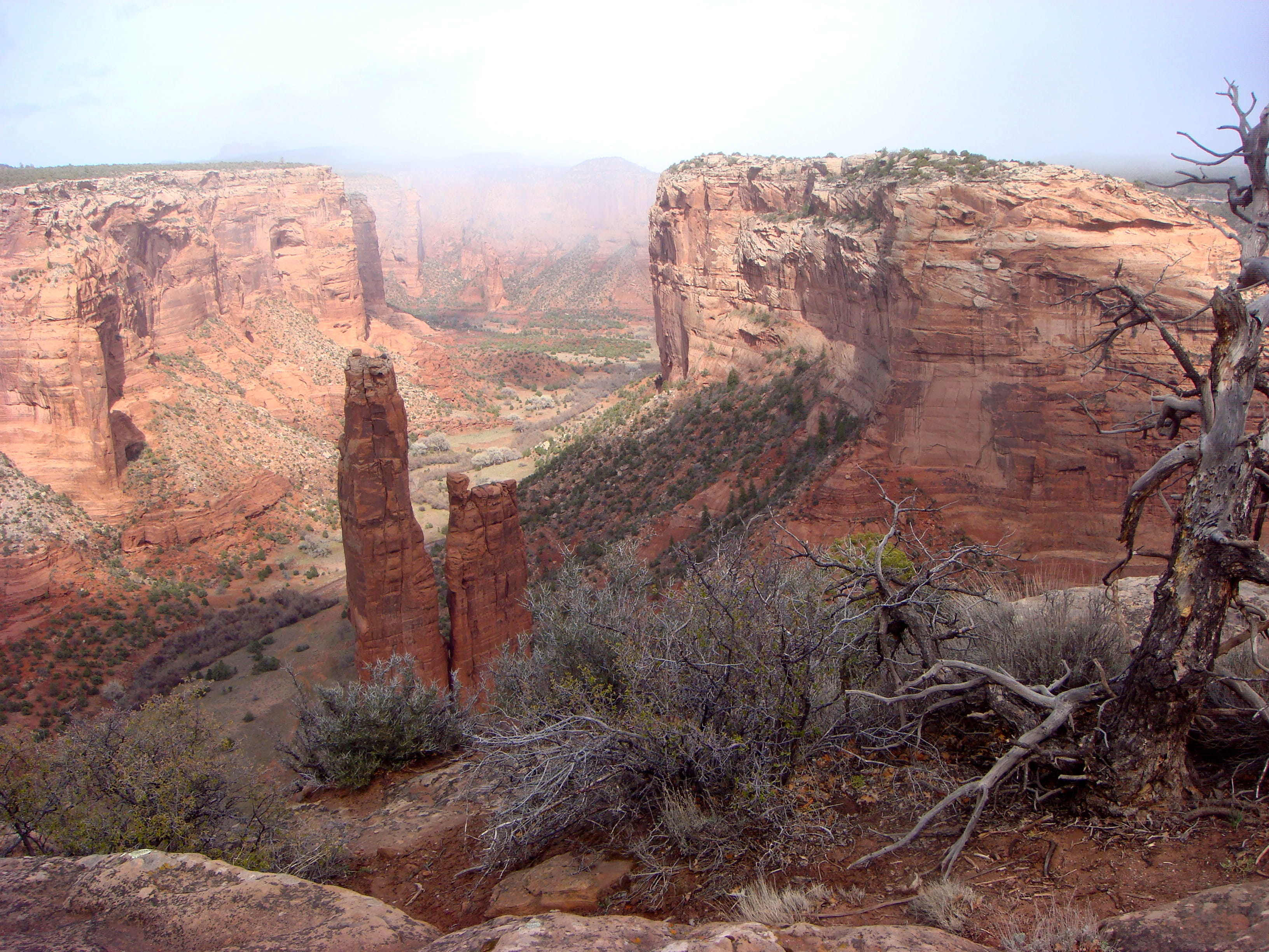 national park, tranquil scene, desert, arid climate, rock, non-urban scene, nature, outdoors, 2K, rock - object, canyon, national monument, Spider Rock, HD Wallpaper