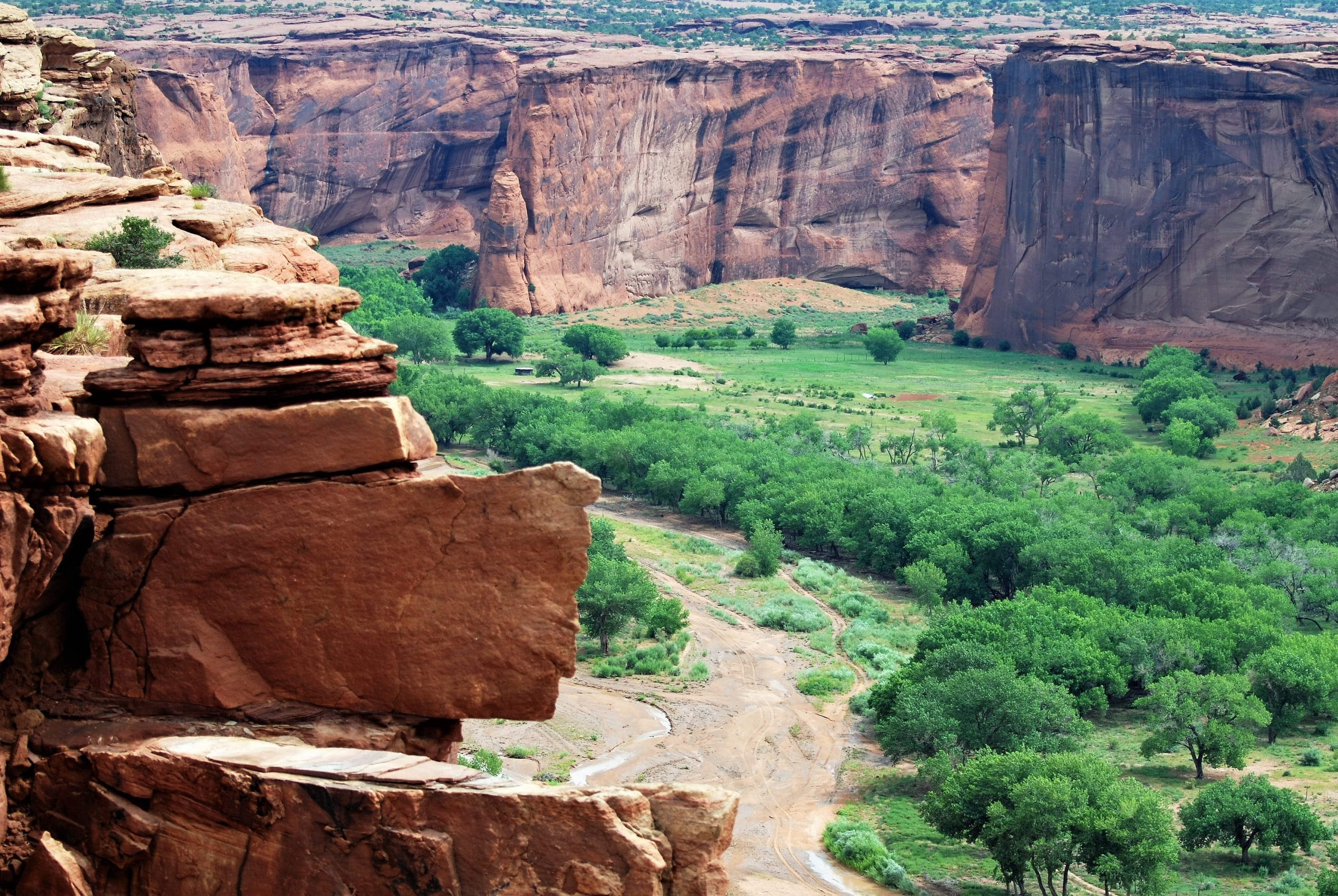 non-urban scene, rock, tree, sandstone, erosion, 2K, layered, tranquil scene, no people, plant, climate, scenics - nature, national park, environment, HD Wallpaper