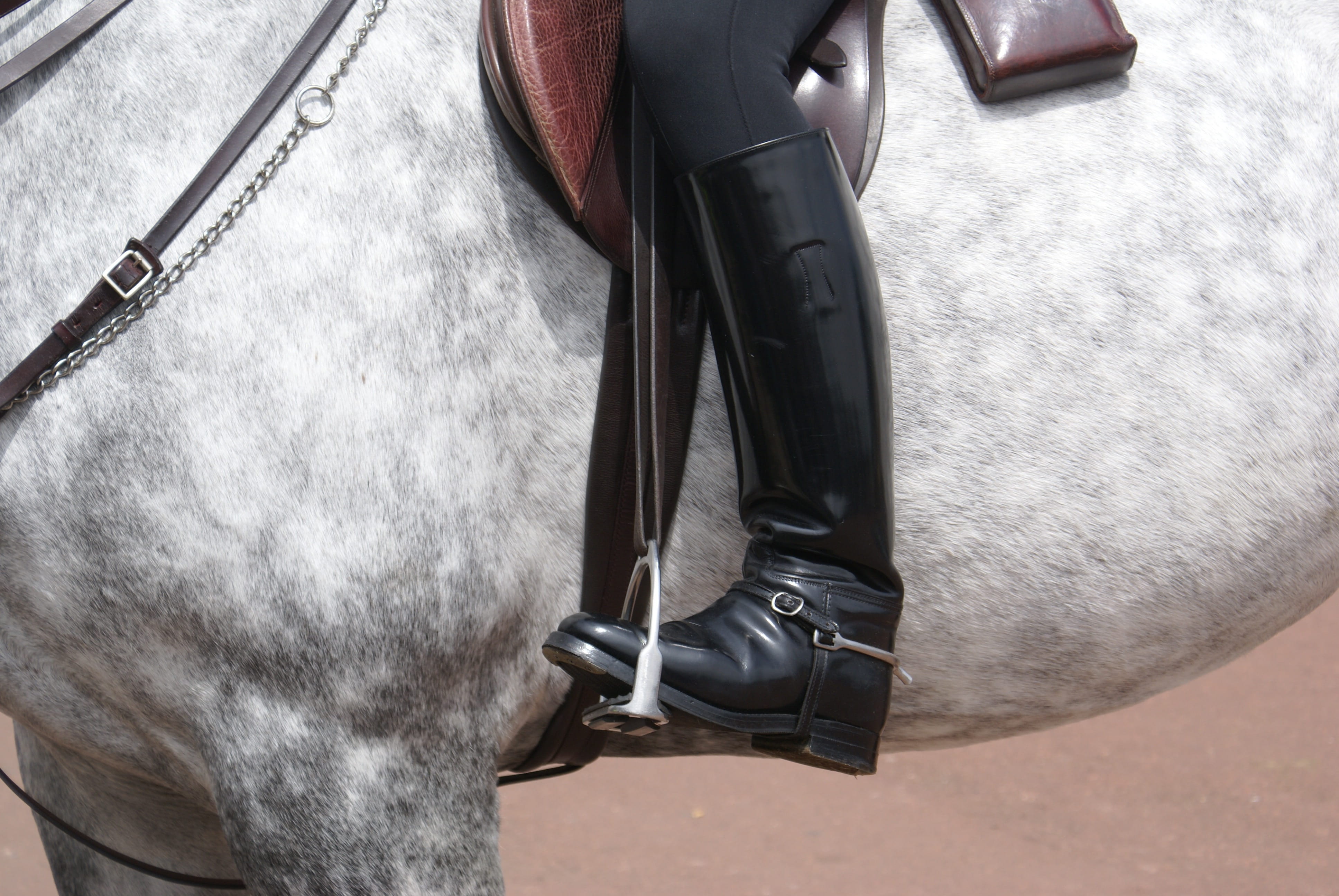 mammal, real people, parade, men, patent leather, livestock, boot, body part, domestic, wearing, black patent, horses, outdoor, blurred motion, white, pets, HD Wallpaper