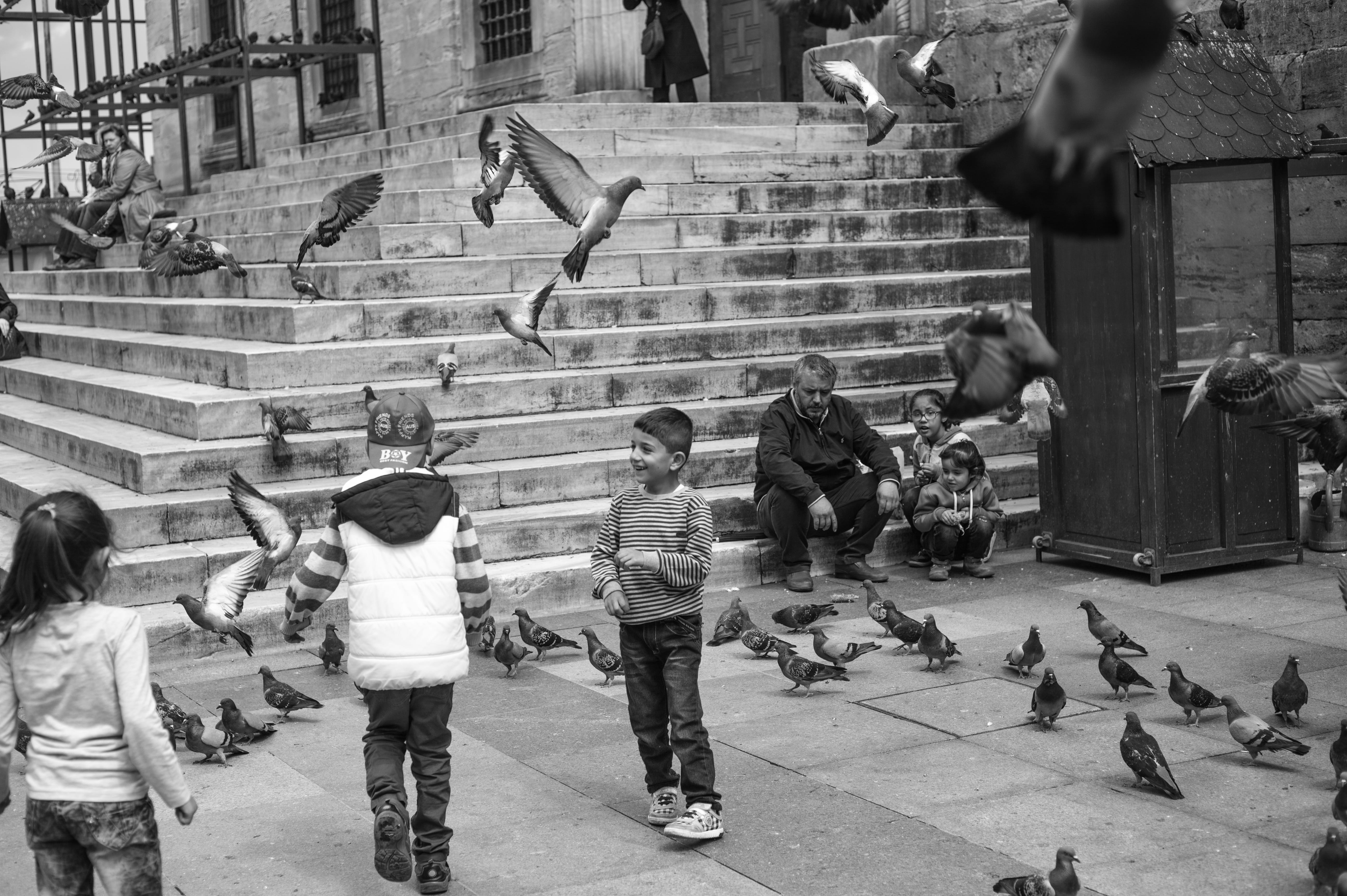 staircase, large group of people, men, leica, leisure activity, casual clothing, built structure, lifestyles, street photograpy, high angle view, flying, HD Wallpaper