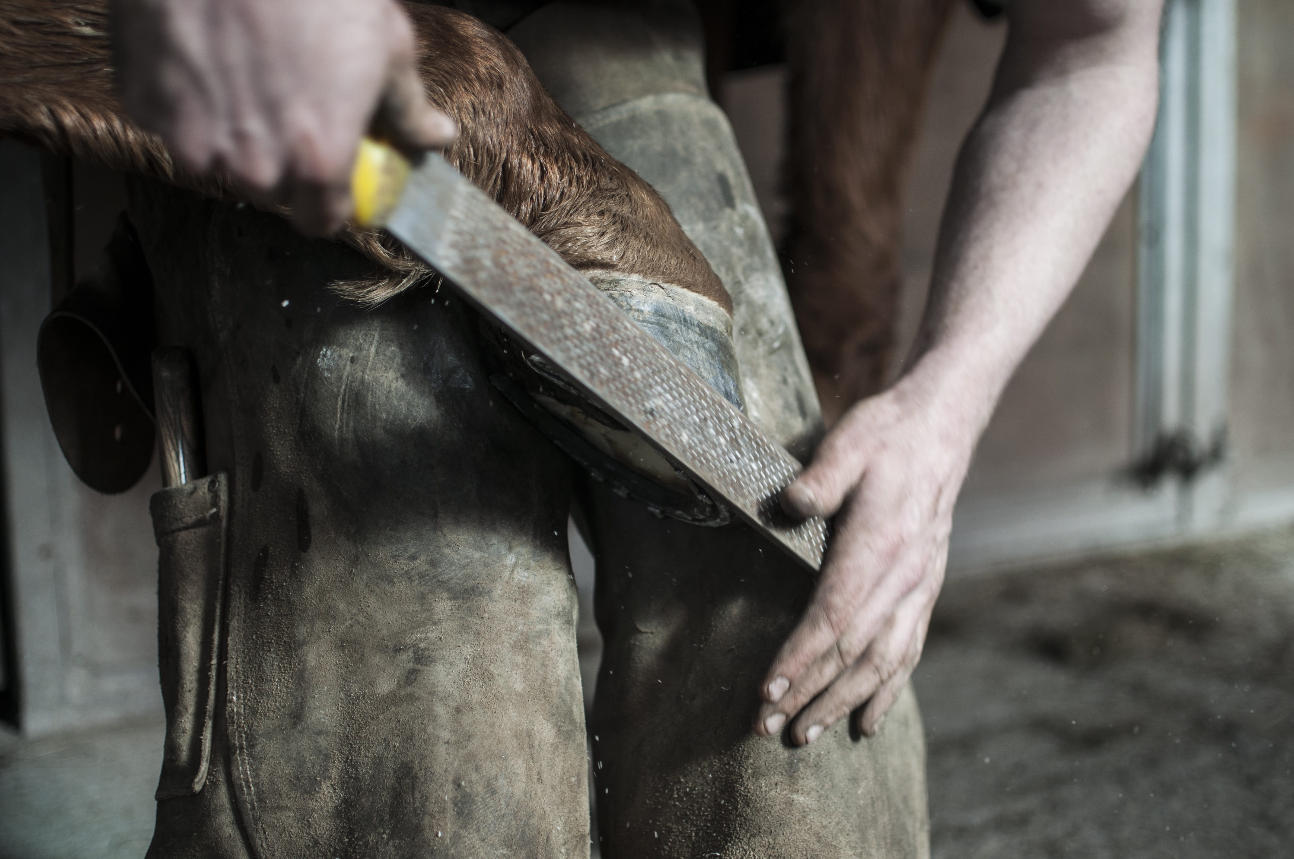 real people, holding, mechanic, smith, industry, work, animal, metal, care, farrier, horse shoe, human limb, job, man, hand, trade, 4K, hand tool, smithery, HD Wallpaper