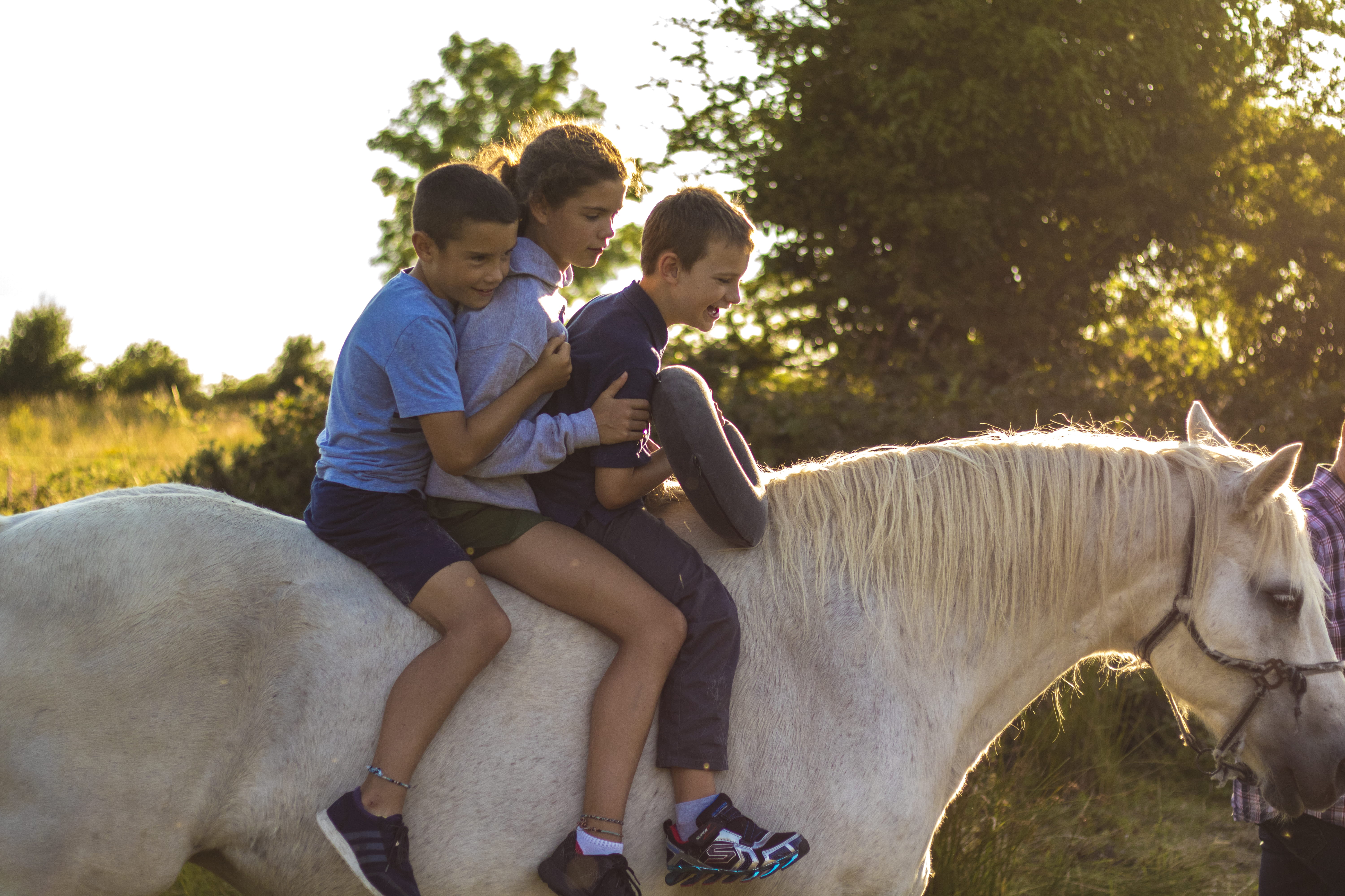 human, apparel, footwear, horse, clothing, andalusian horse, real people, domestic, ireland, mammal, photography, domestic animals, leisure activity, casual clothing, HD Wallpaper