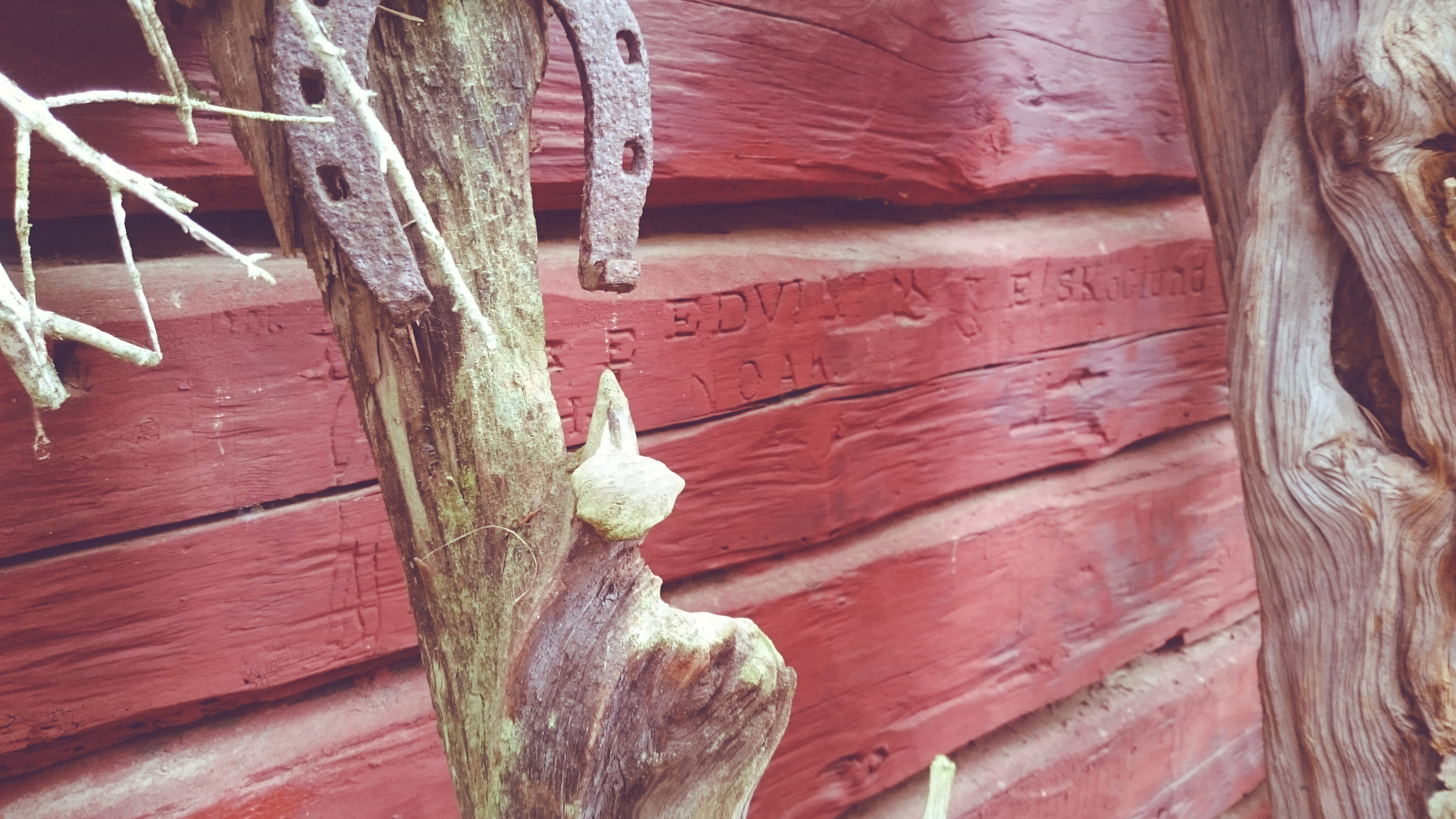 brown, red, wall - building feature, horse shoe, wood, wood - material, no people, lakehouse, close-up, backgrounds, ljusne, full frame, textured, plant, HD Wallpaper