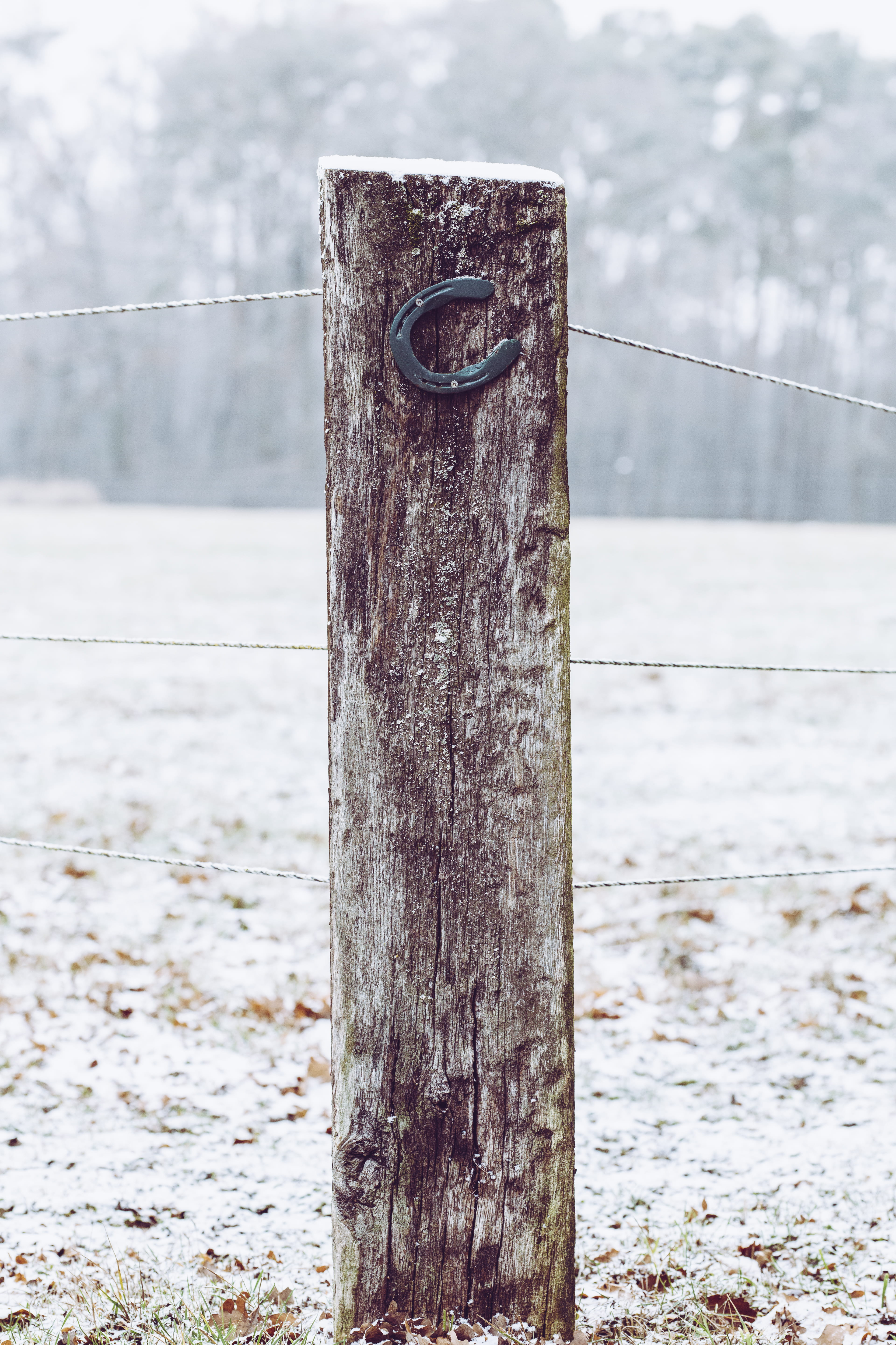 no people, safety, rusty, barrier, outdoors, security, wooden post, 5K, nature, wooden, close-up, protection, black, metal, focus on foreground, cold temperature, Phone HD Wallpaper