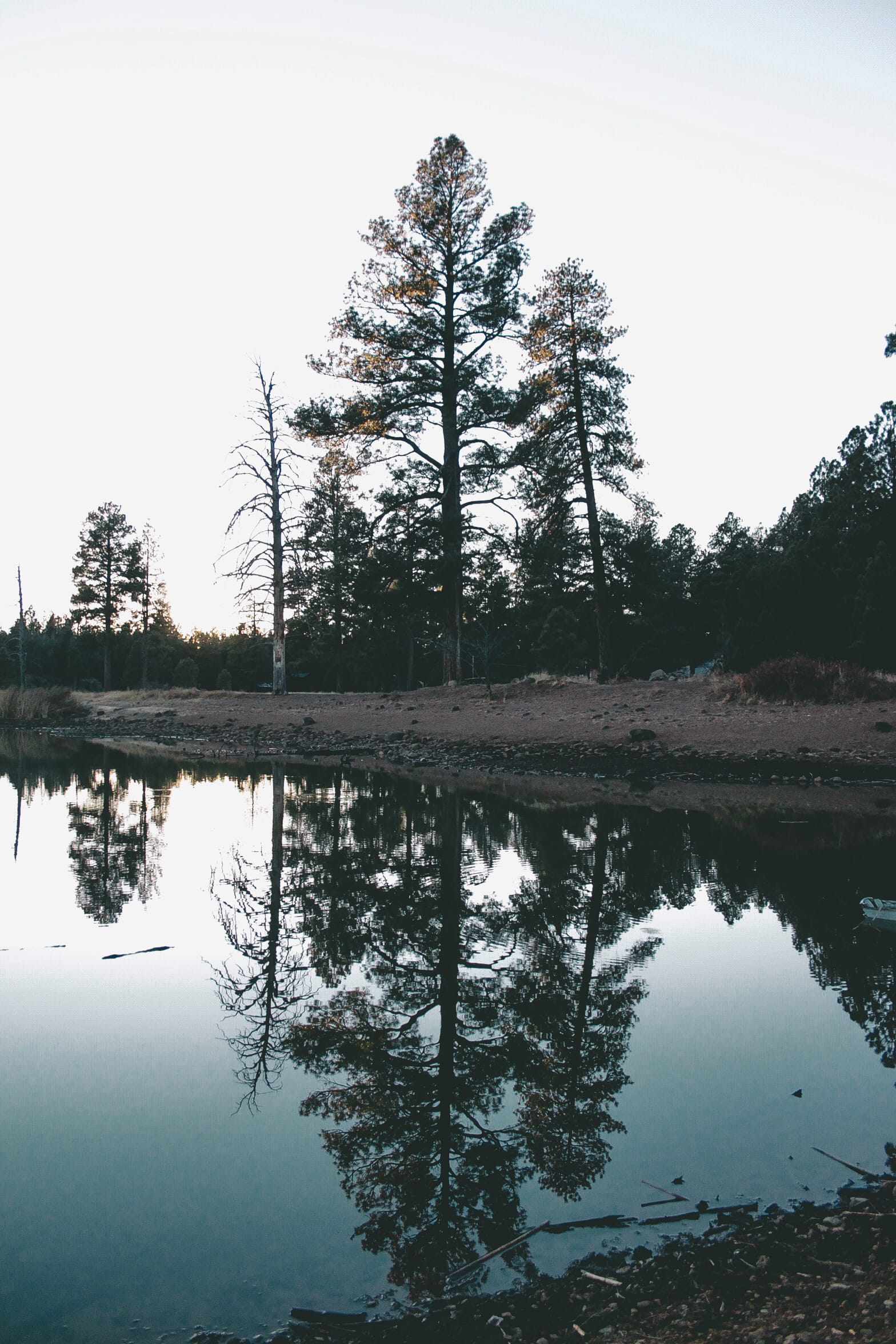arizona, christmas, reflection, clear sky, tranquil scene, trees, day, cold, united states, pine trees, standing water, beauty in nature, tranquility, nature, Phone HD Wallpaper