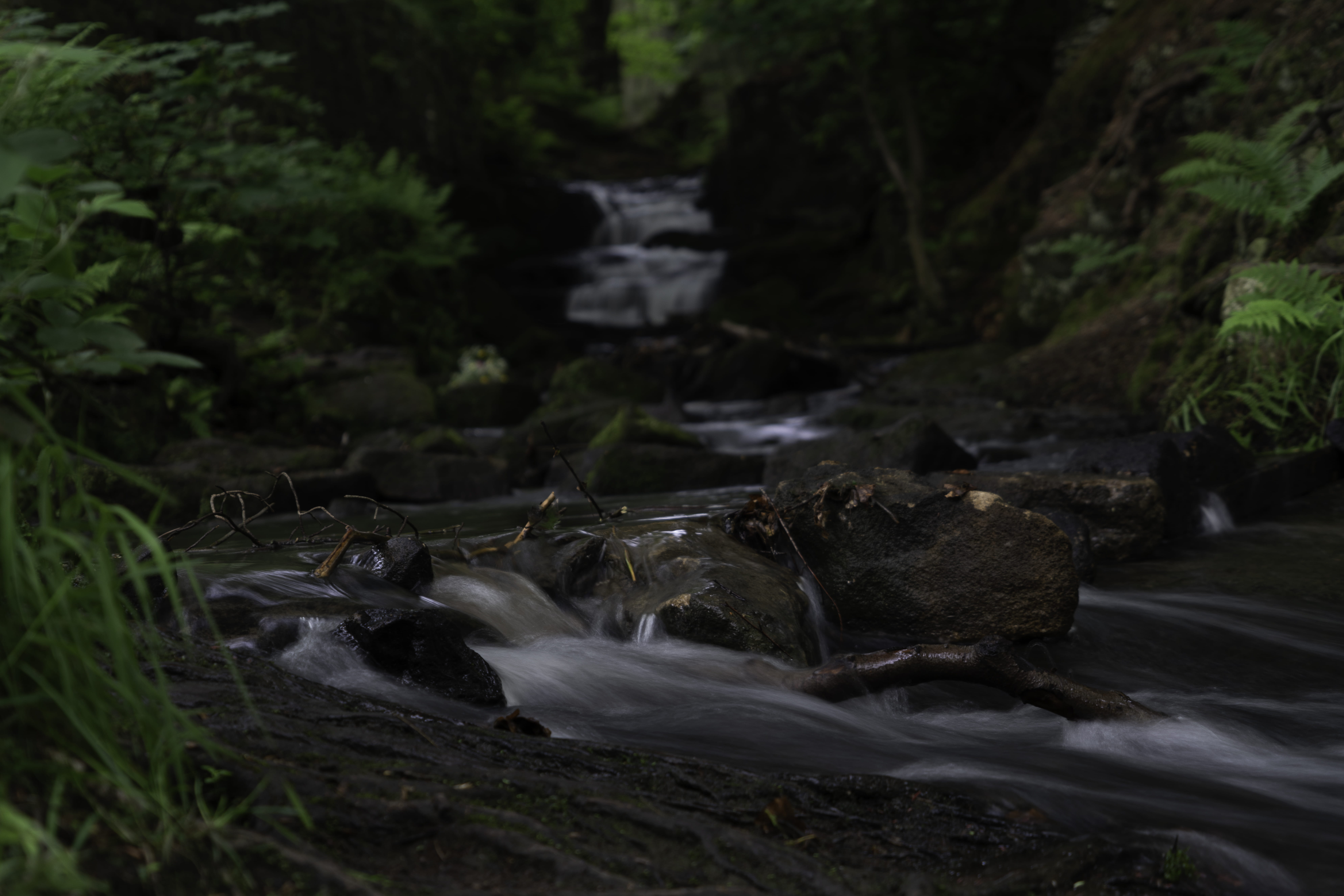 sony alpha, outdoors, lumsdale falls, 8K, running water, scenics - nature, stream, nature, matlock, environment, long exposure, flowing water, day, plant, HD Wallpaper