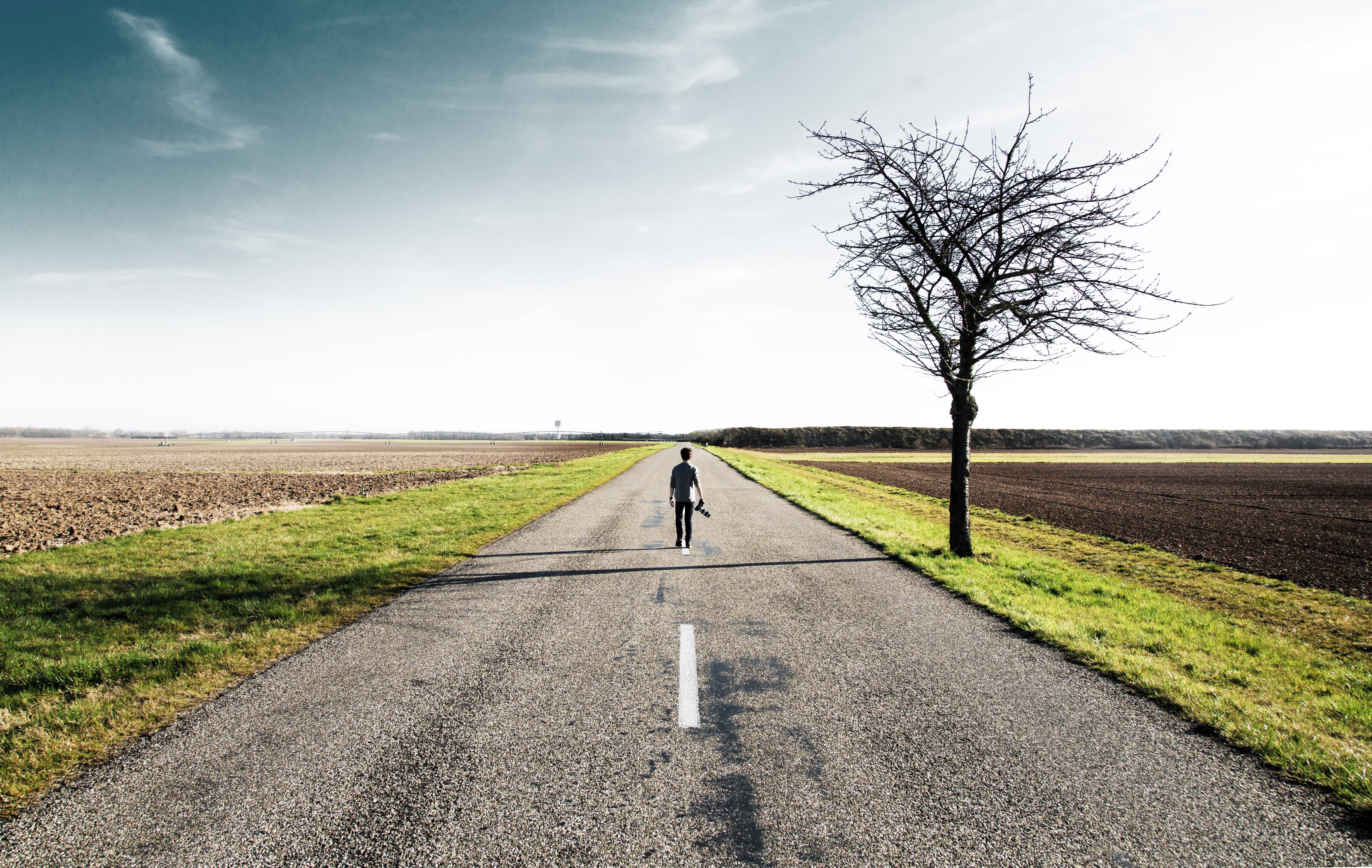 france, landscape, direction, road, portrait, field, rear view, one person, plant, environment, day, bare tree, quote, 5K, full length, explore, HD Wallpaper
