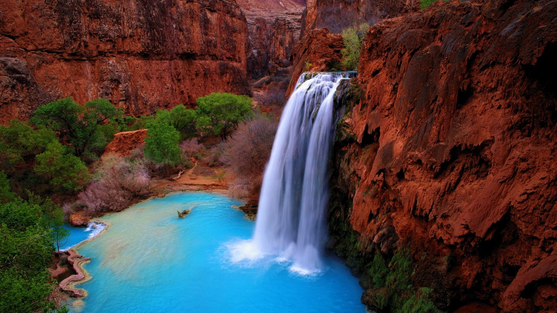 Waterfalls, 1080P, travel destinations, motion, scenics - nature, rock - object, flowing water, power in nature, geology, non-urban scene, tree, Havasu Falls, HD Wallpaper