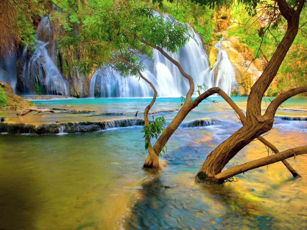 REFLECTION, branches, creek, art, havasu, hd, nature, 480P, Trees, falls, HD Wallpaper