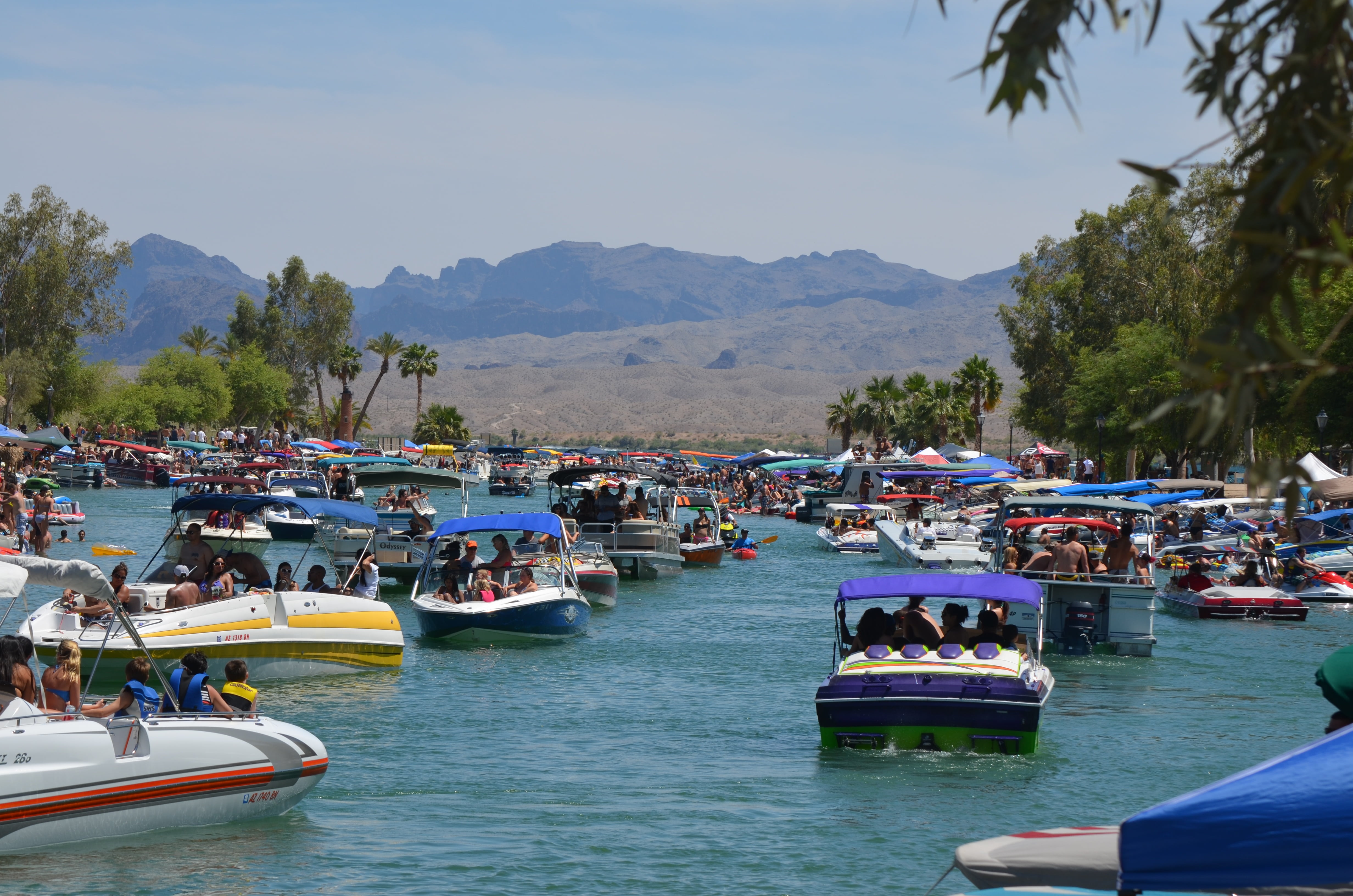 plant, crowd, america, nautical vessel, arizona, transportation, lifestyles, men, women, fun, waterfront, leisure activity, real people, water, group of people, HD Wallpaper