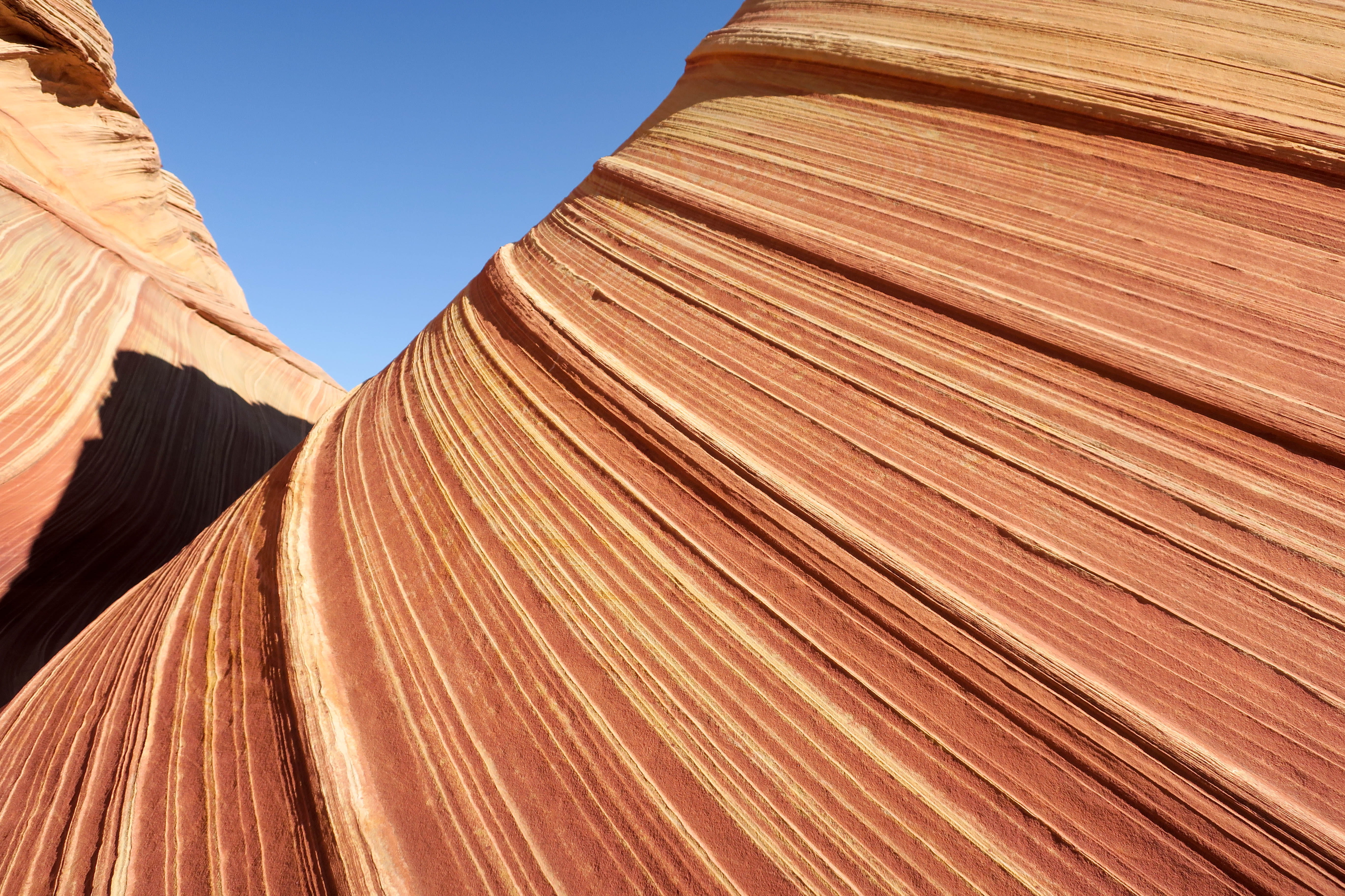 sandstone, geology, rock formation, amazing, climate, beauty in nature, non-urban scene, rocks, clear sky, outdoors, rock, solid, full frame, day, arizona, HD Wallpaper