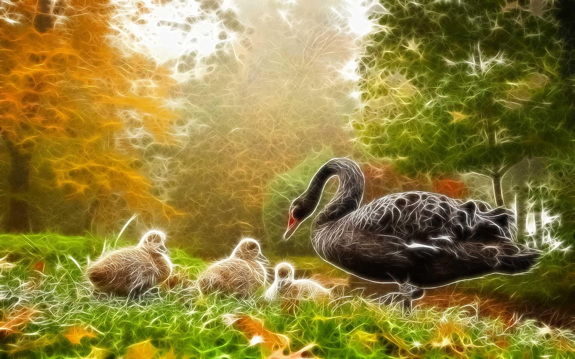 animals, family, greenland, loving, 1080P, goose, forest, HD Wallpaper