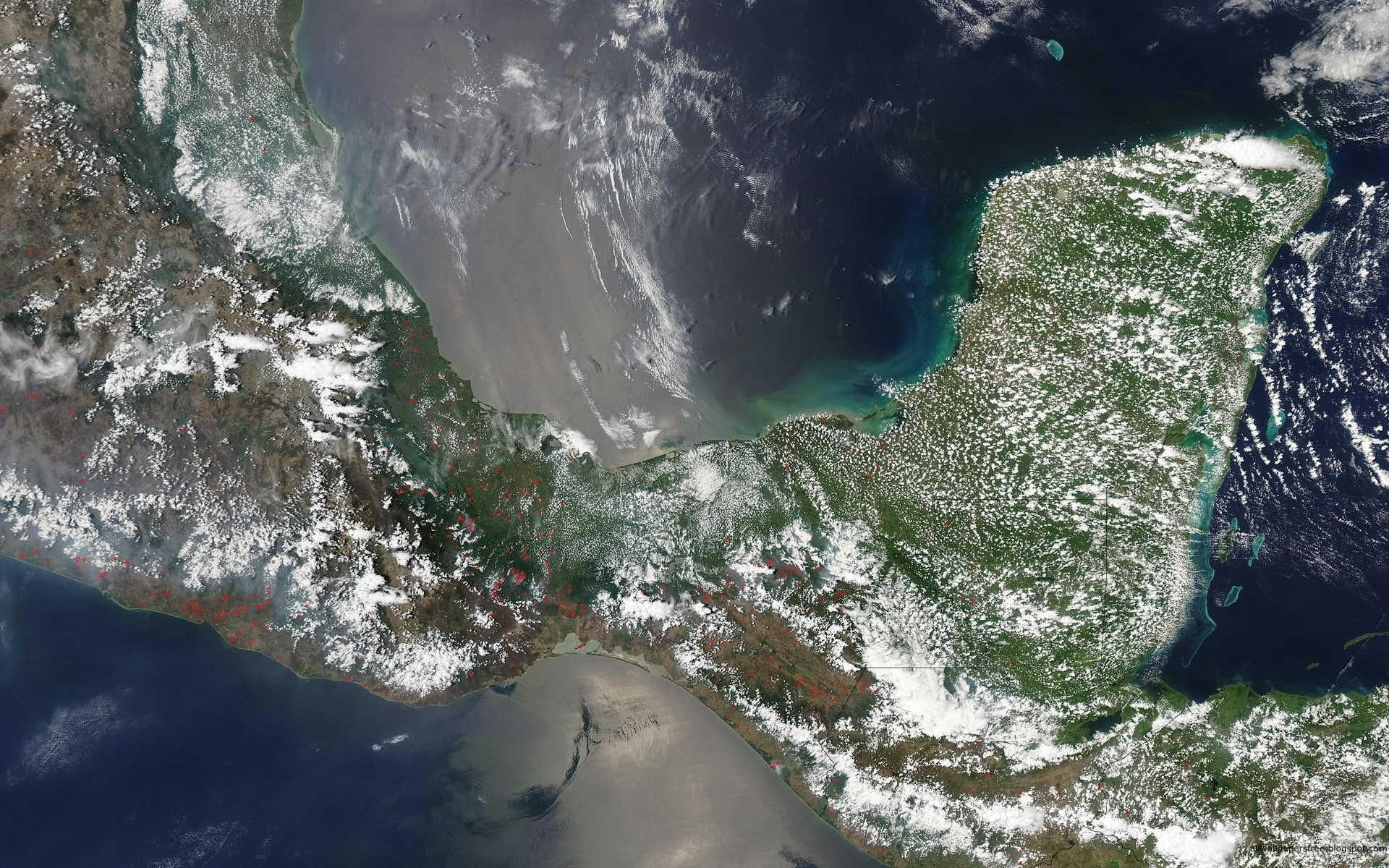map, green, 1080P, white, view, brown, space, earth, HD Wallpaper
