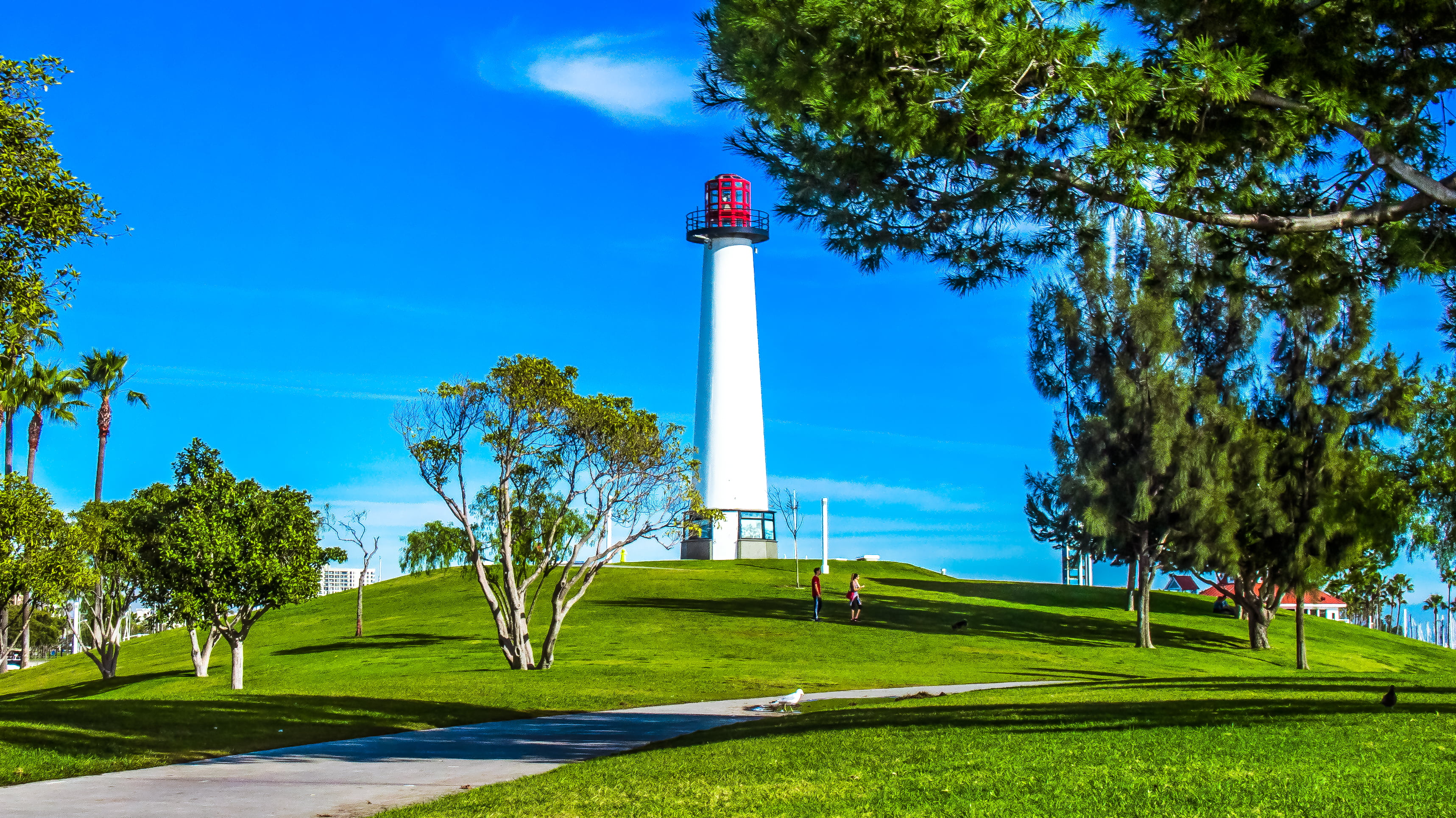 white, green  blue, marine, maritime, red, frame, white  light, Long Beach, shore, tourist, CA, visit, trees, daytime, light  house, surrounded, grass, HD Wallpaper
