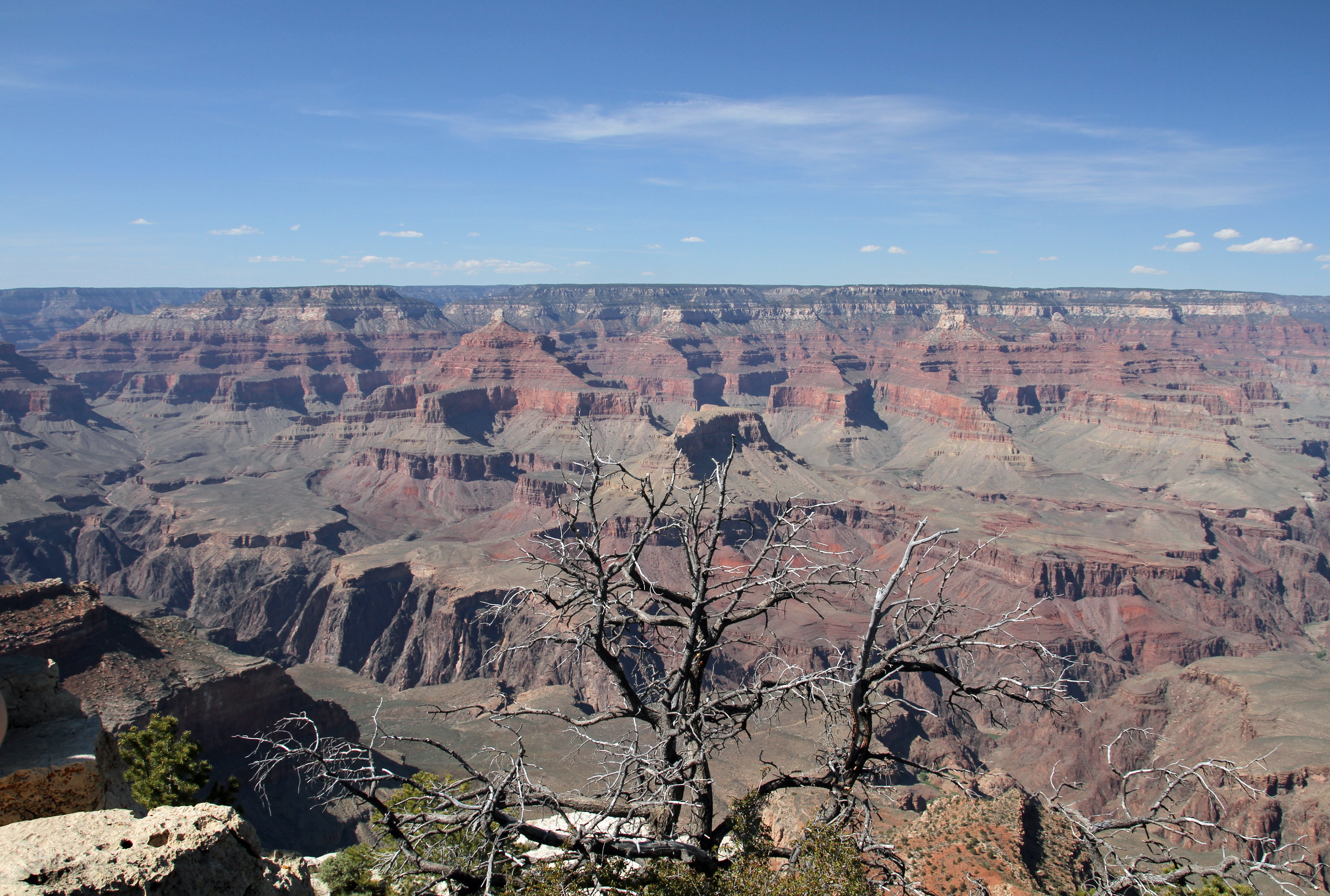 america, sandstone, uSA, remote, outdoors, environment, west - Direction, grand Canyon, 5K, geological, erosion, travel, national Landmark, scenics - nature, HD Wallpaper