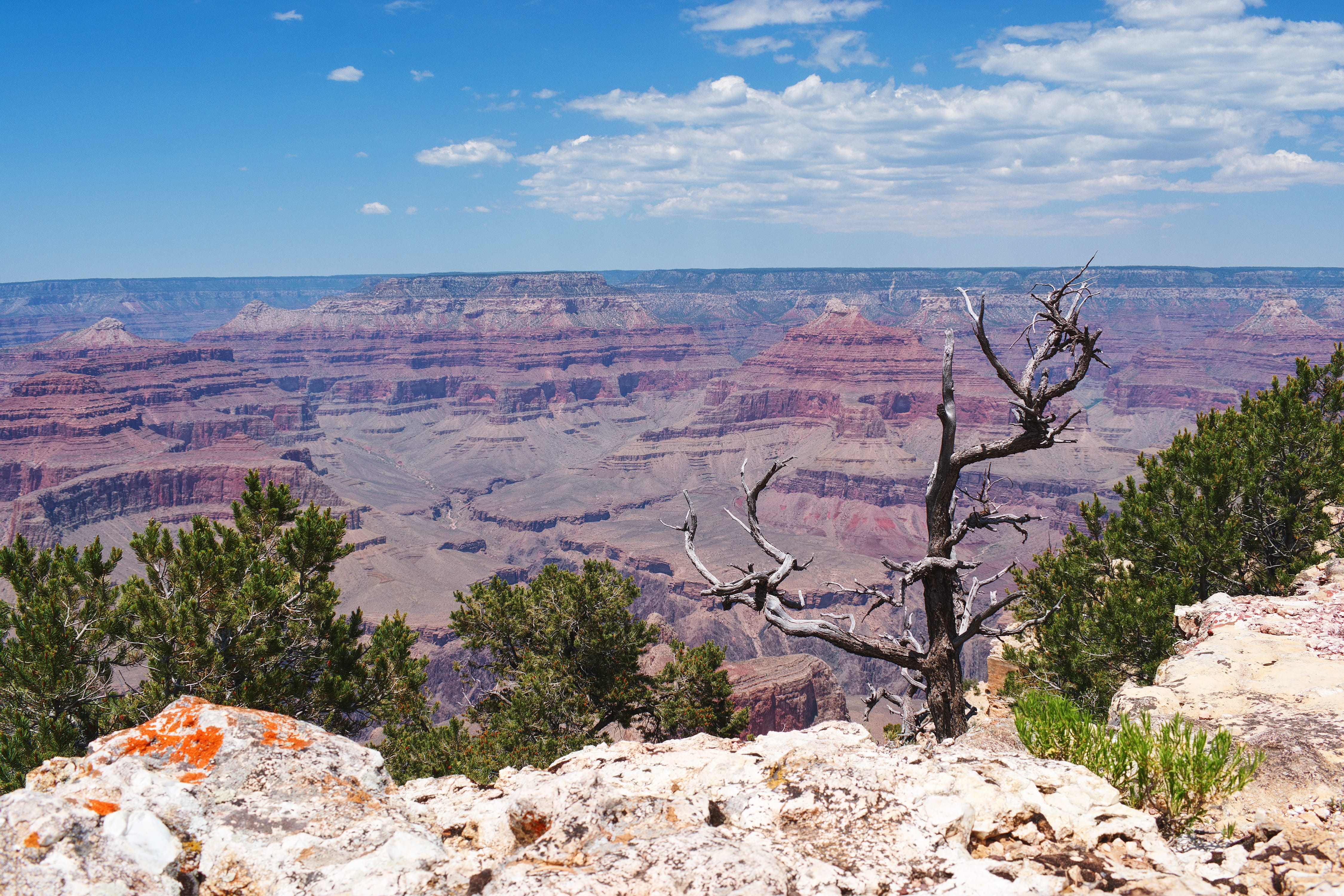national Park, tranquility, mountain, canyon, wilderness Area, Landscape, tree, beauty In Nature, solid, land, uSA, cloud - sky, climate, rock Formation, HD Wallpaper