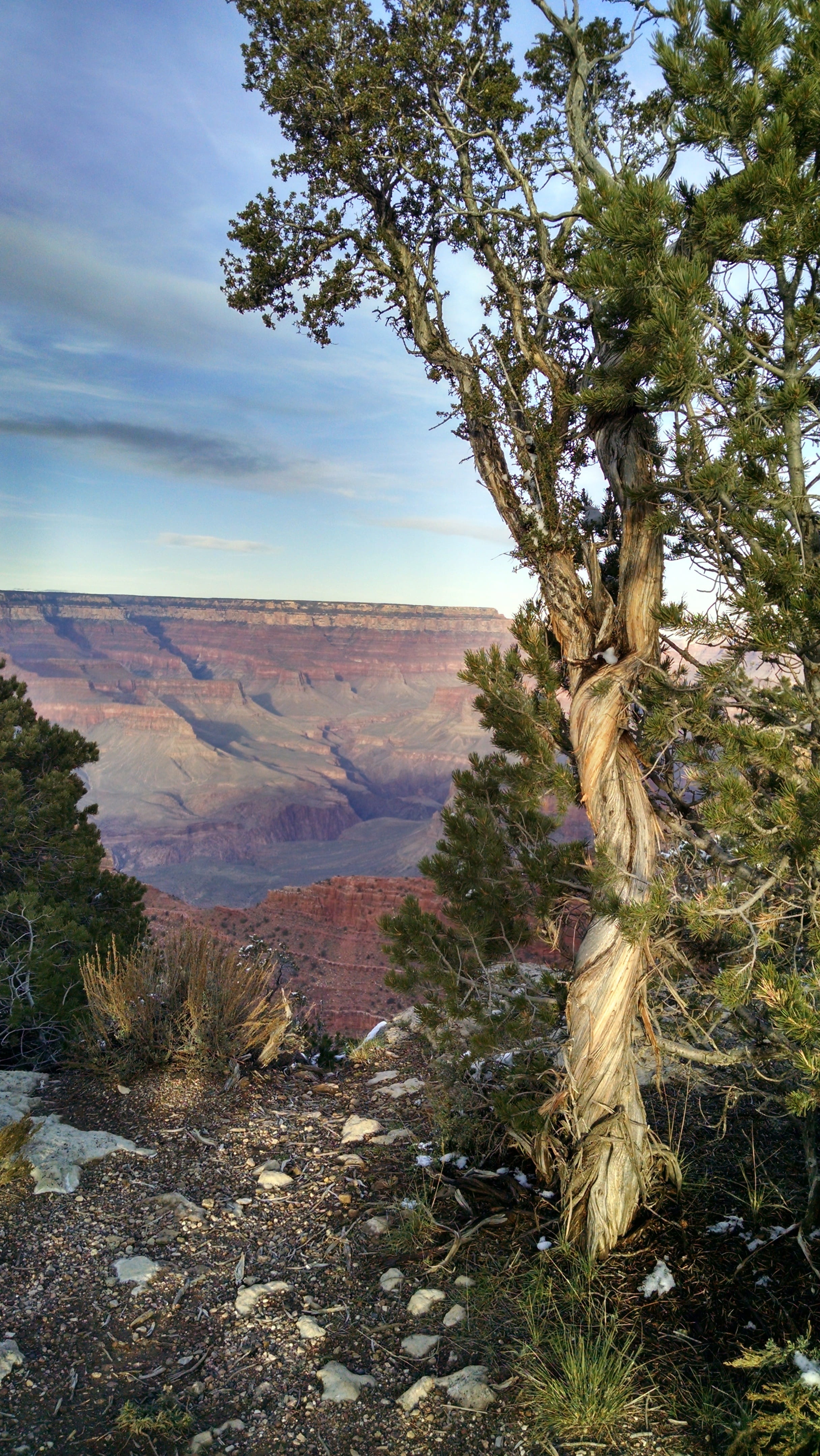 scenics - nature, day, growth, southwest, no people, usa, grand canyon south rim, sky, plant, non-urban scene, nature, outdoors, cloud - sky, mountain, Phone HD Wallpaper