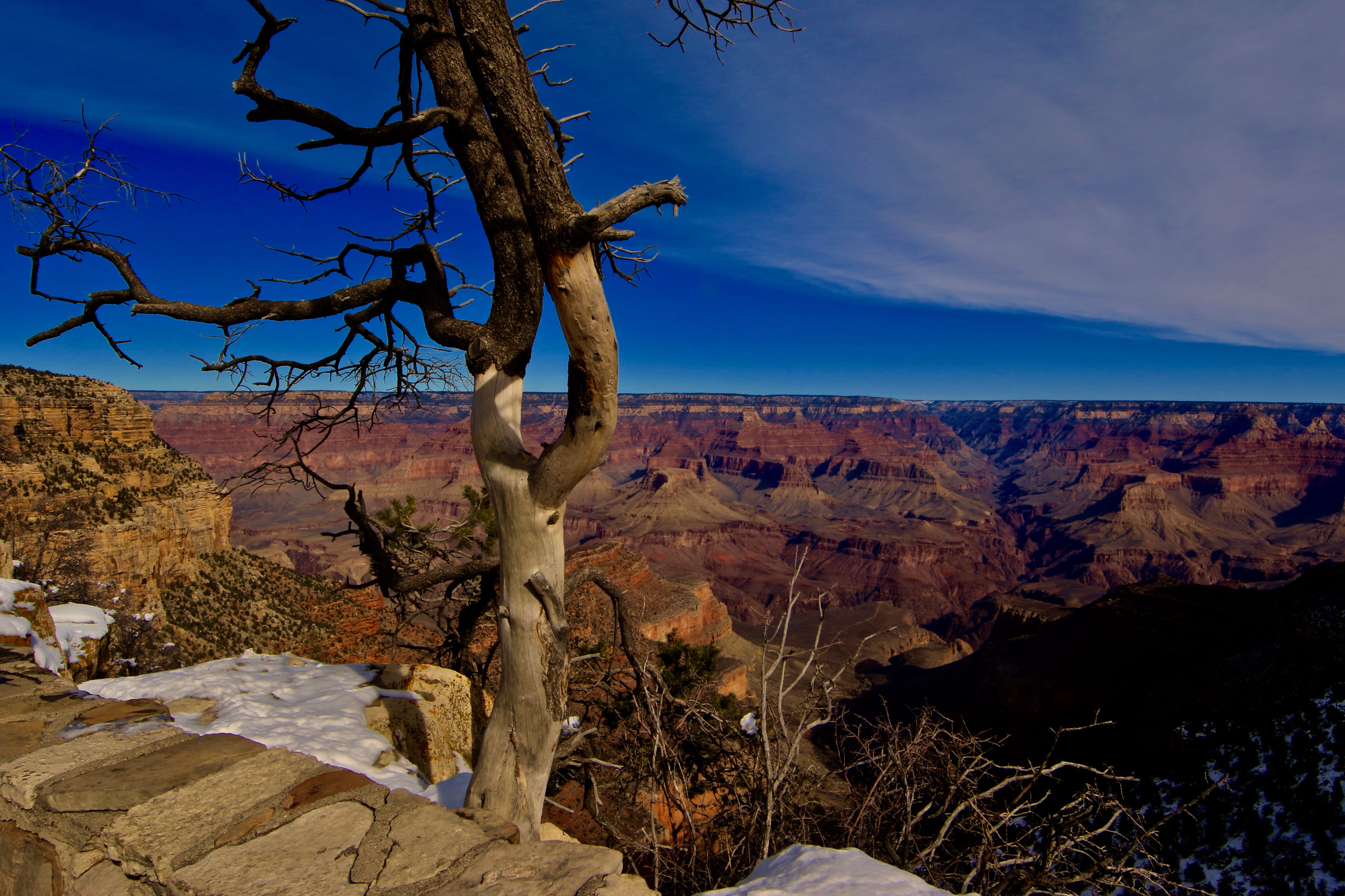 mountain range, non-urban scene, scenics - nature, nature, plant, grand canyon village, arizona, eroded, arid climate, 5K, beauty in nature, dom, horizon, HD Wallpaper