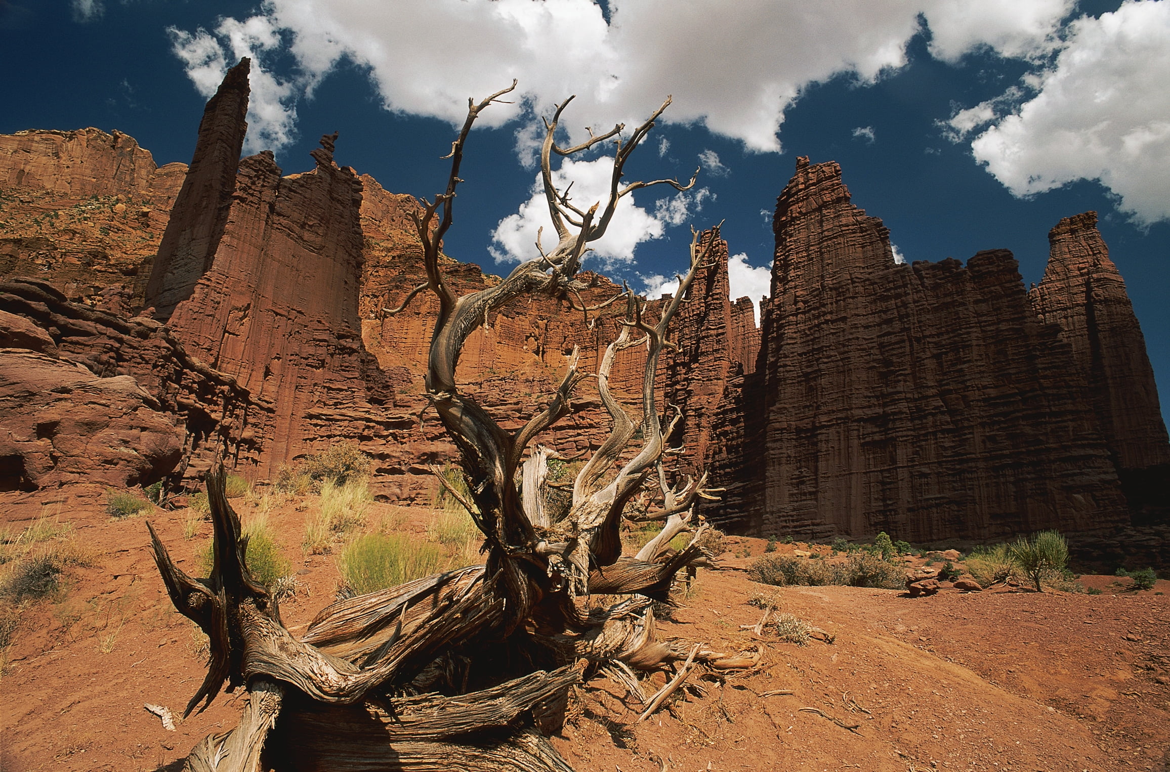 national Landmark, eroded, scenics, wilderness Area, rock Formation, red, park - Man Made Space, rock - Object, famous Place, shade, utah, nature, tranquility, HD Wallpaper