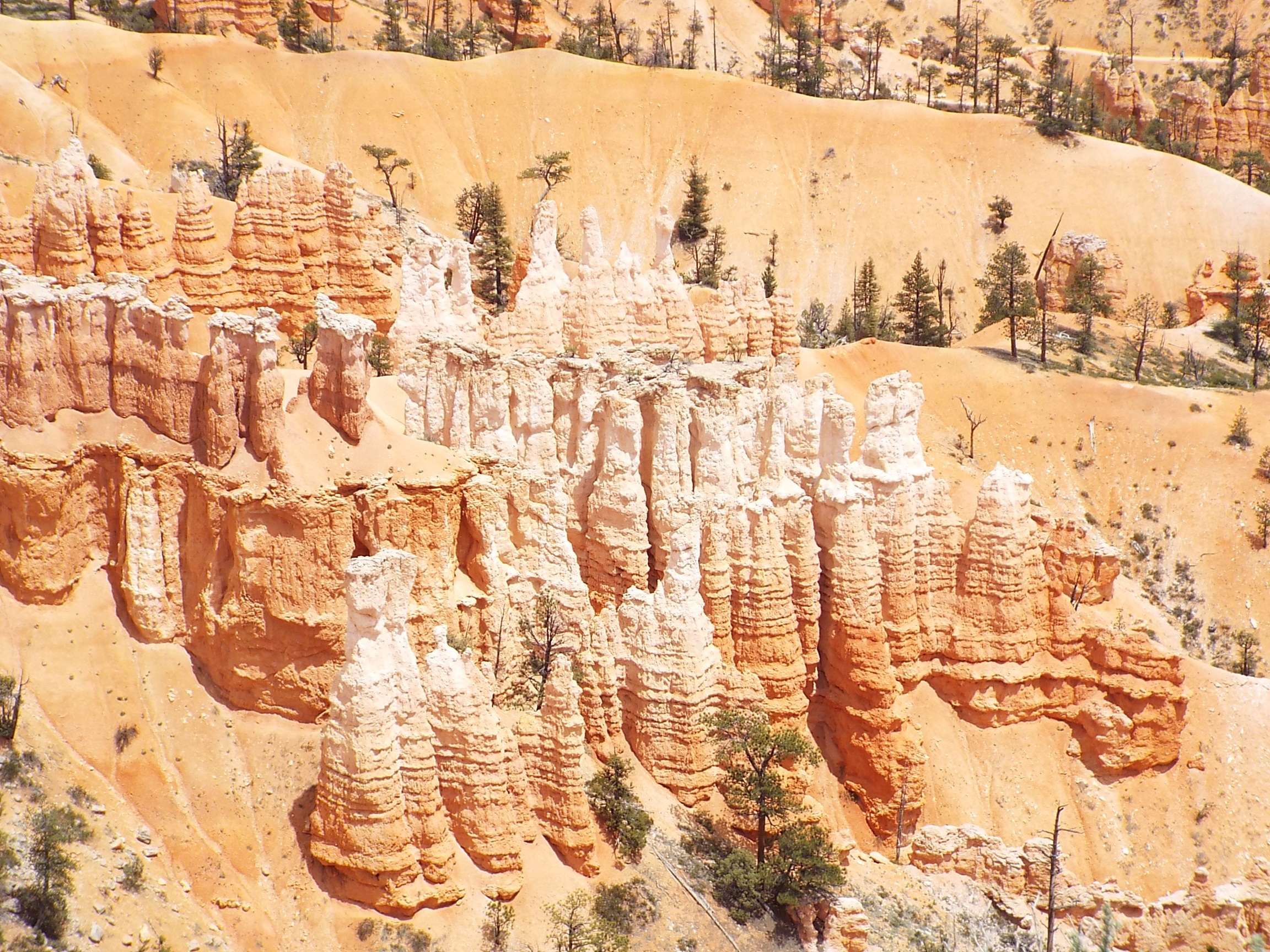 rock - Object, famous, national, white, remote, amphitheater, stone, national Park, dry, outdoors, erosion, rugged, climate, red, bryce Canyon National Park, HD Wallpaper