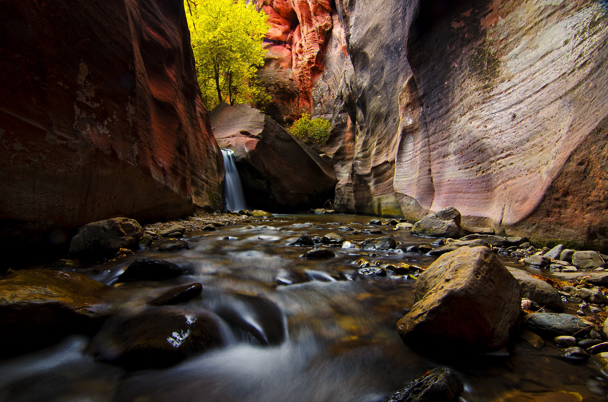 stream, Zion National Park, rocks, 1080P, Utah, canyon, trees, stones, USA, river, HD Wallpaper