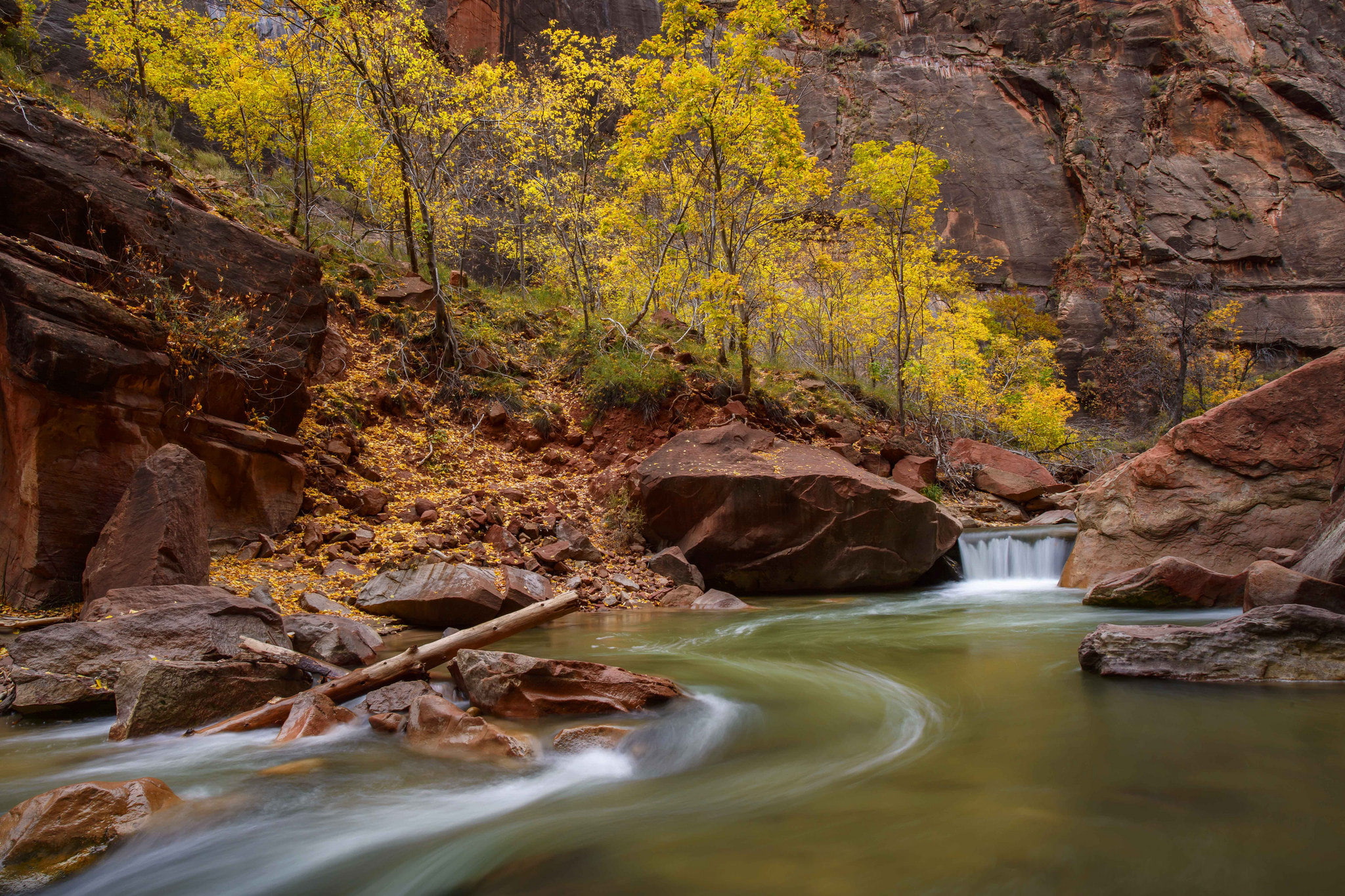 river, stones, rocks, 1080P, trees, Zion National Park, canyon, stream, Utah, USA, HD Wallpaper