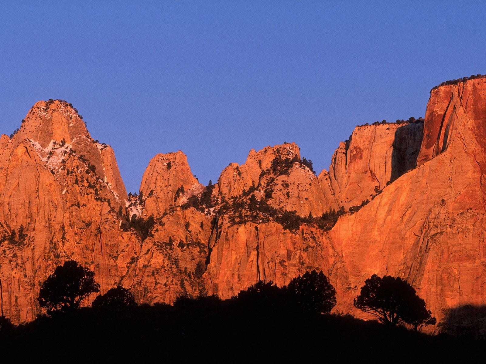uSA, landscape, pine tree, 720P, eroded, non-urban scene, travel, national Park, utah, rock, trees, arizona, rock Formation, crimson rise, environment, HD Wallpaper