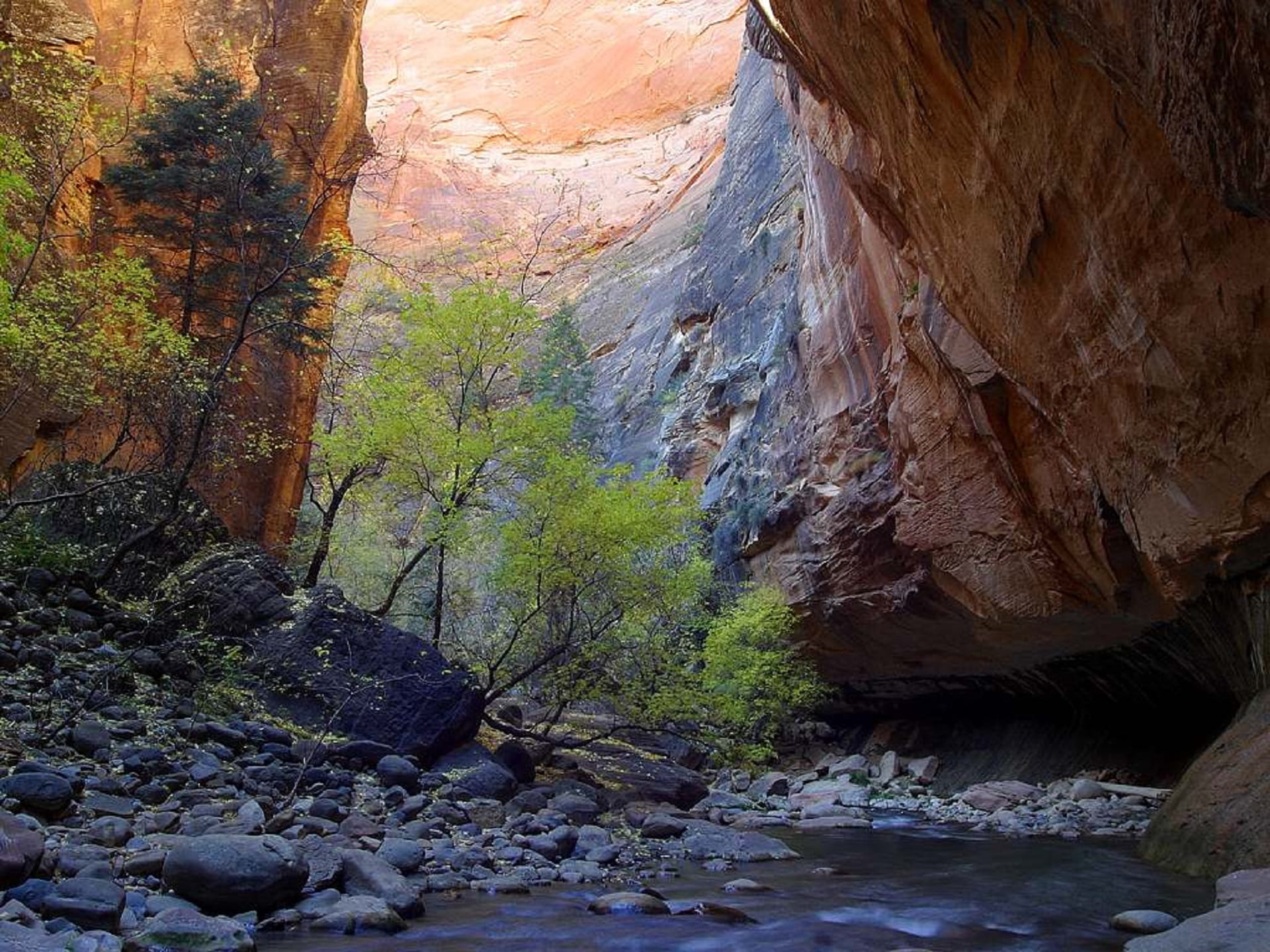 beauty in nature, rock formation, plant, rock - object, tranquil scene, day, wilderness, scenic, stream, eroded, canyon, leafed, idyllic, nature, formation, HD Wallpaper