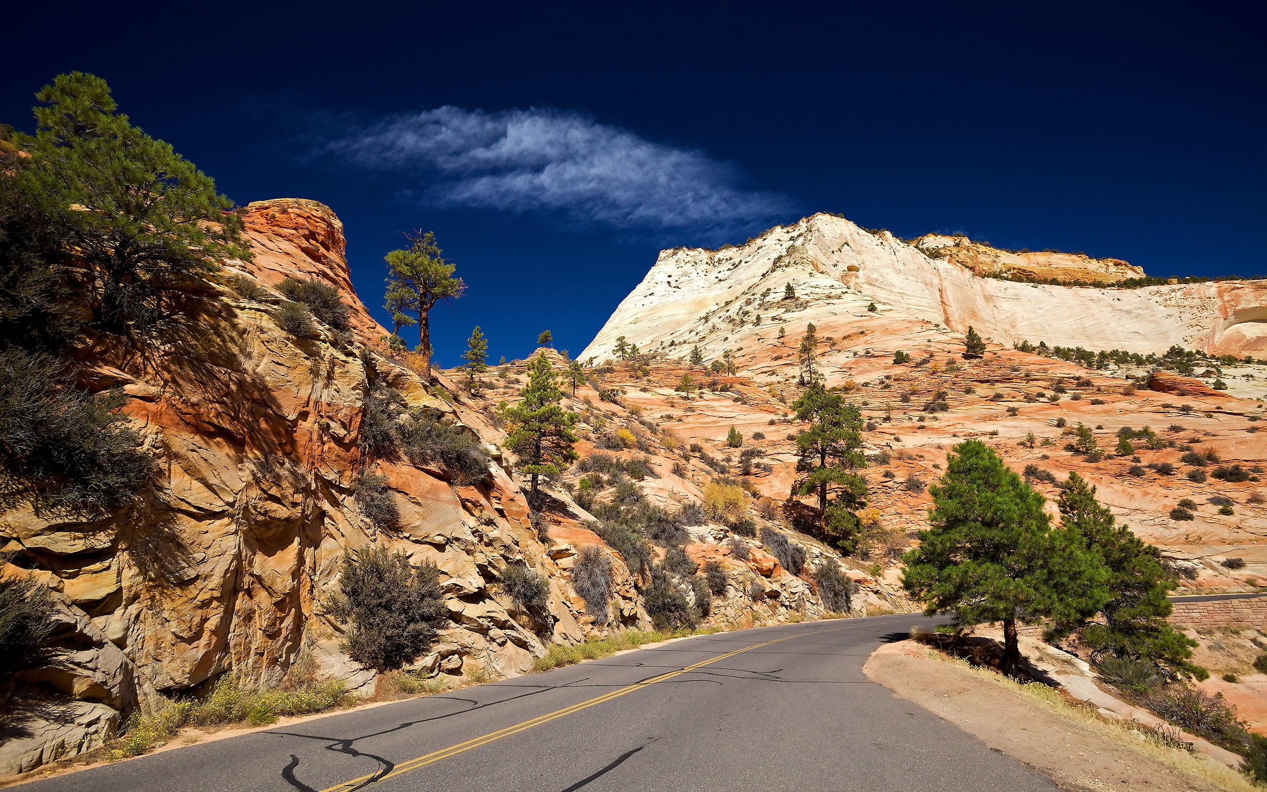 direction, dry, valley, landscape, day, formation, geology, extreme Terrain, famous Place, beauty In Nature, green, non-urban scene, zion National Park, HD Wallpaper