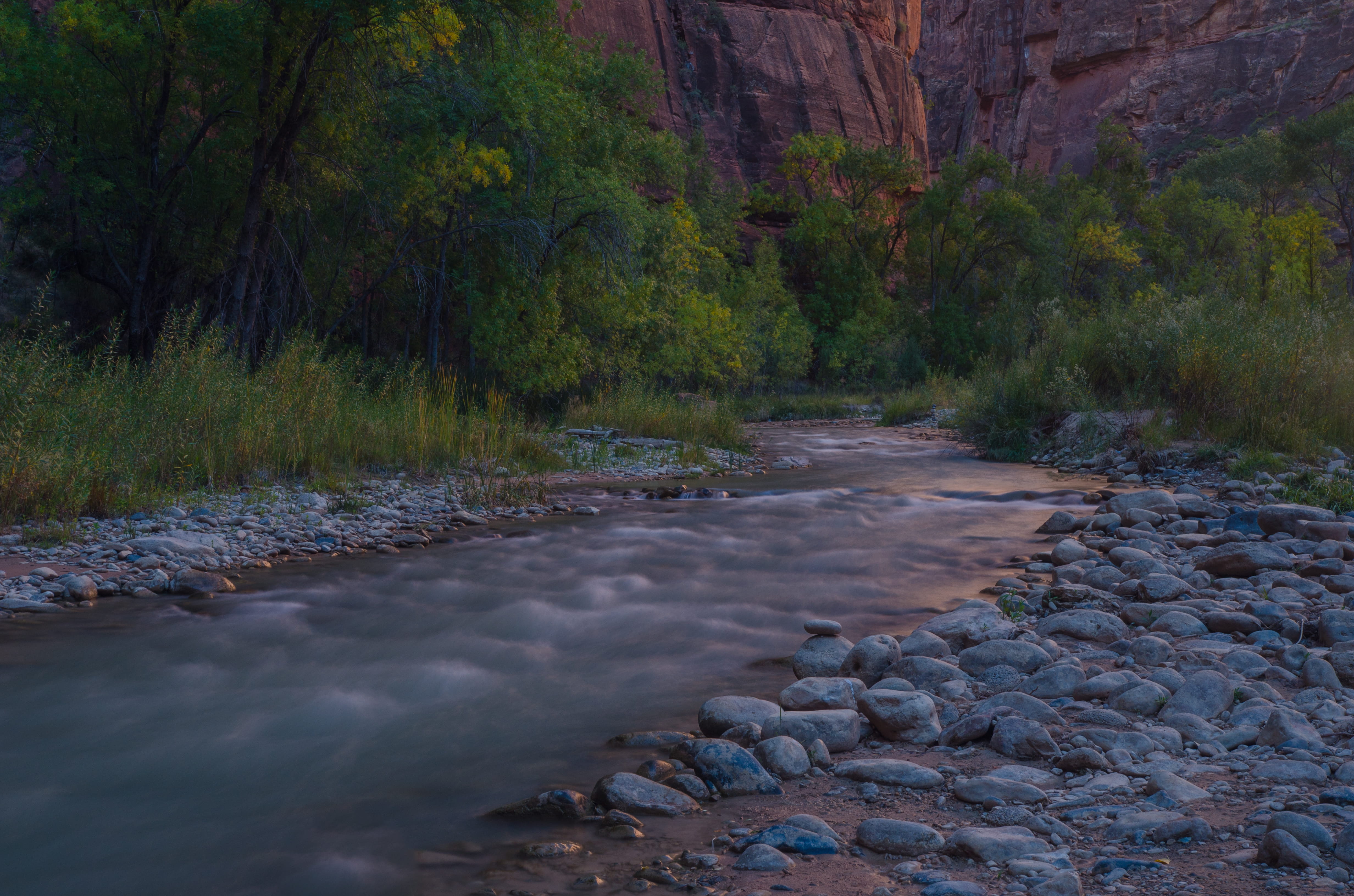 nature, narrows, forest, pebble, flowing water, tranquility, outdoors, zion, remote, zion national park, water, flowing, riverwalk, land, rock, HD Wallpaper
