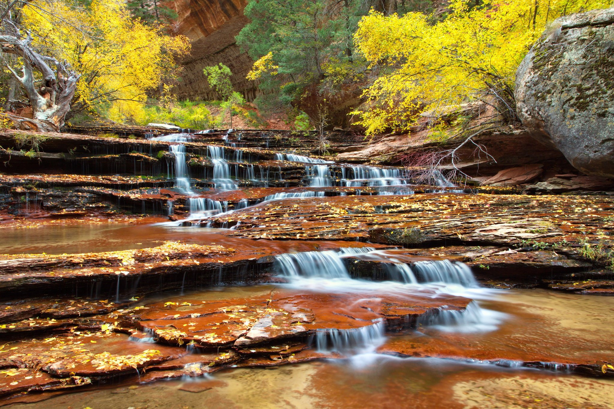zion, 1080P, national, autumn, park, utah, river, HD Wallpaper