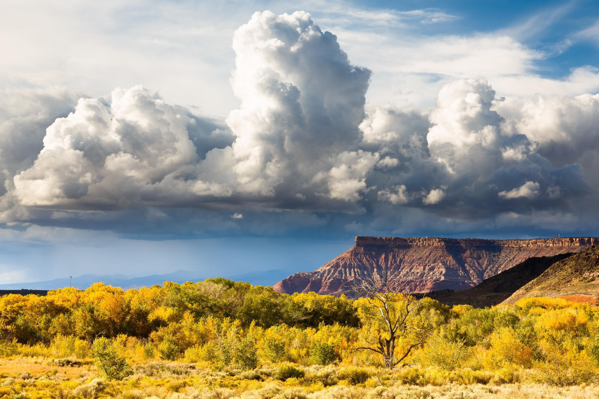 Zion National Park, zion, USA, cloudy, 1080P, national, land, park, grass, weather, mountains, nature, HD Wallpaper