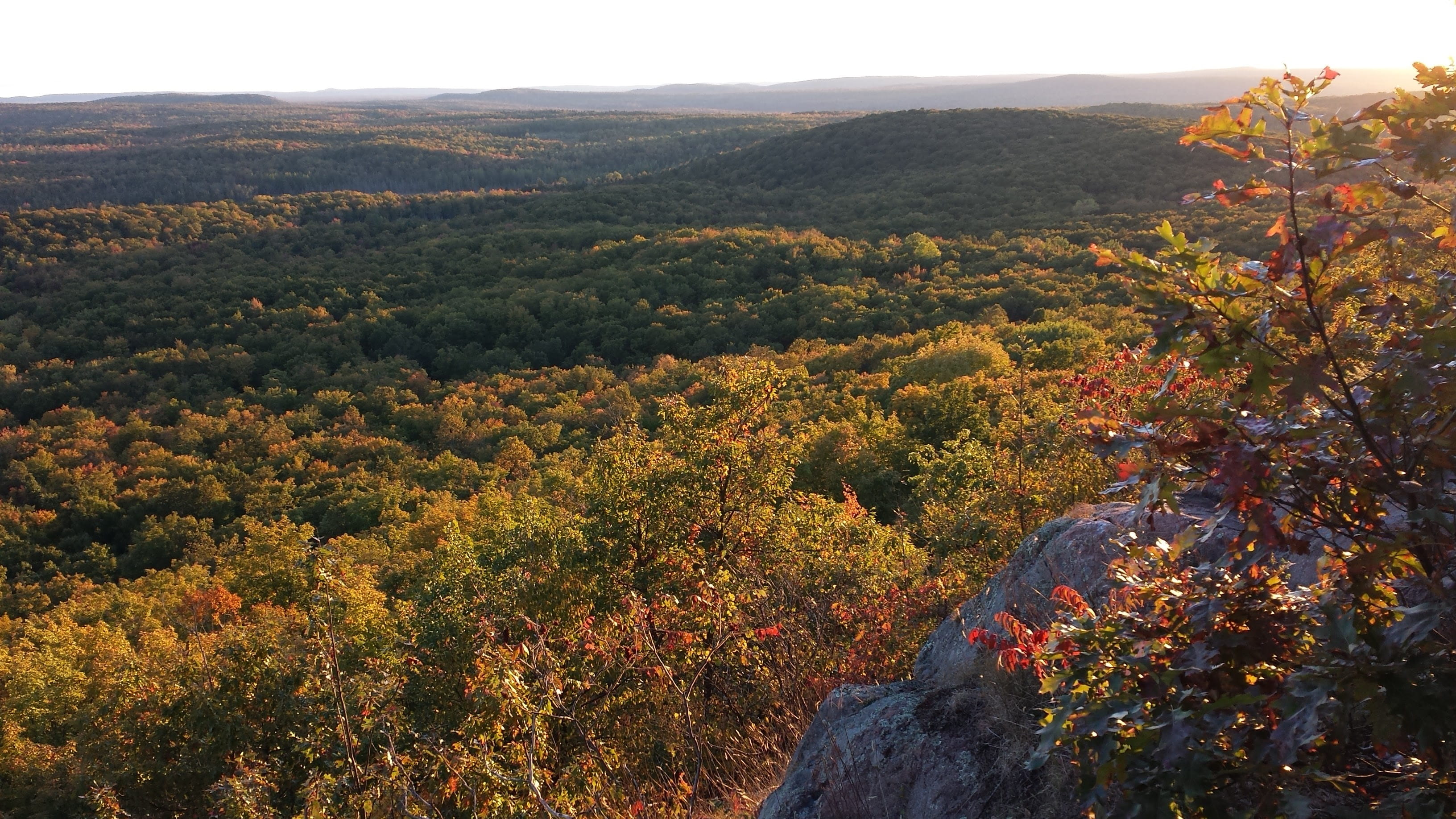 idyllic, tranquil scene, autumn, hills, michigan, scenic, sunlight, environment, plant, change, overlook, scenery, no people, 2K, growth, wilderness, up, HD Wallpaper